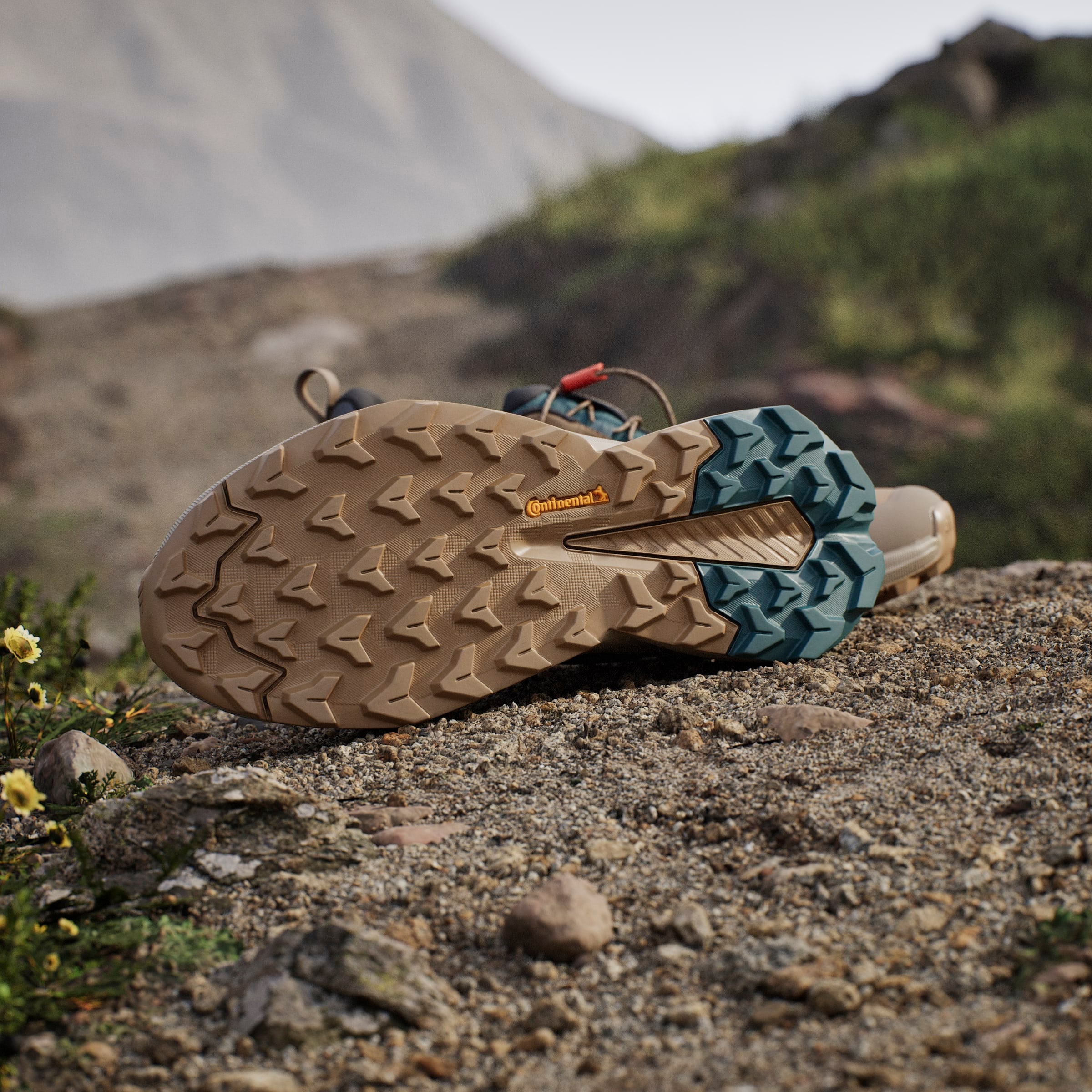 adidas TERREX Chaussure de randonnée »TERREX TRAILMAKER 2 GORE-TEX SPEED LACE«  wasserdicht