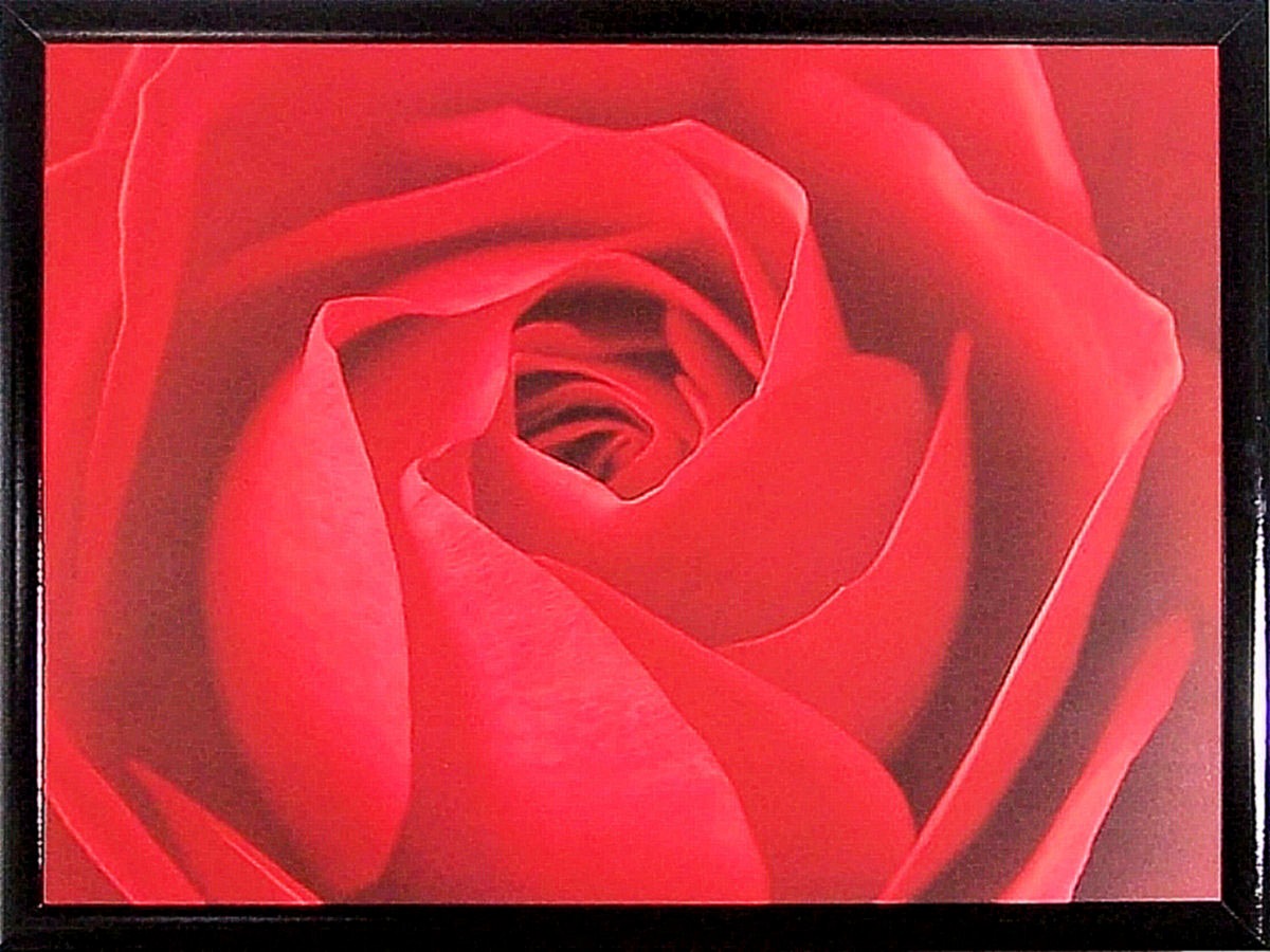 Image of my home Bild mit Rahmen »Ce la Rose«, (1 St.) bei Ackermann Versand Schweiz