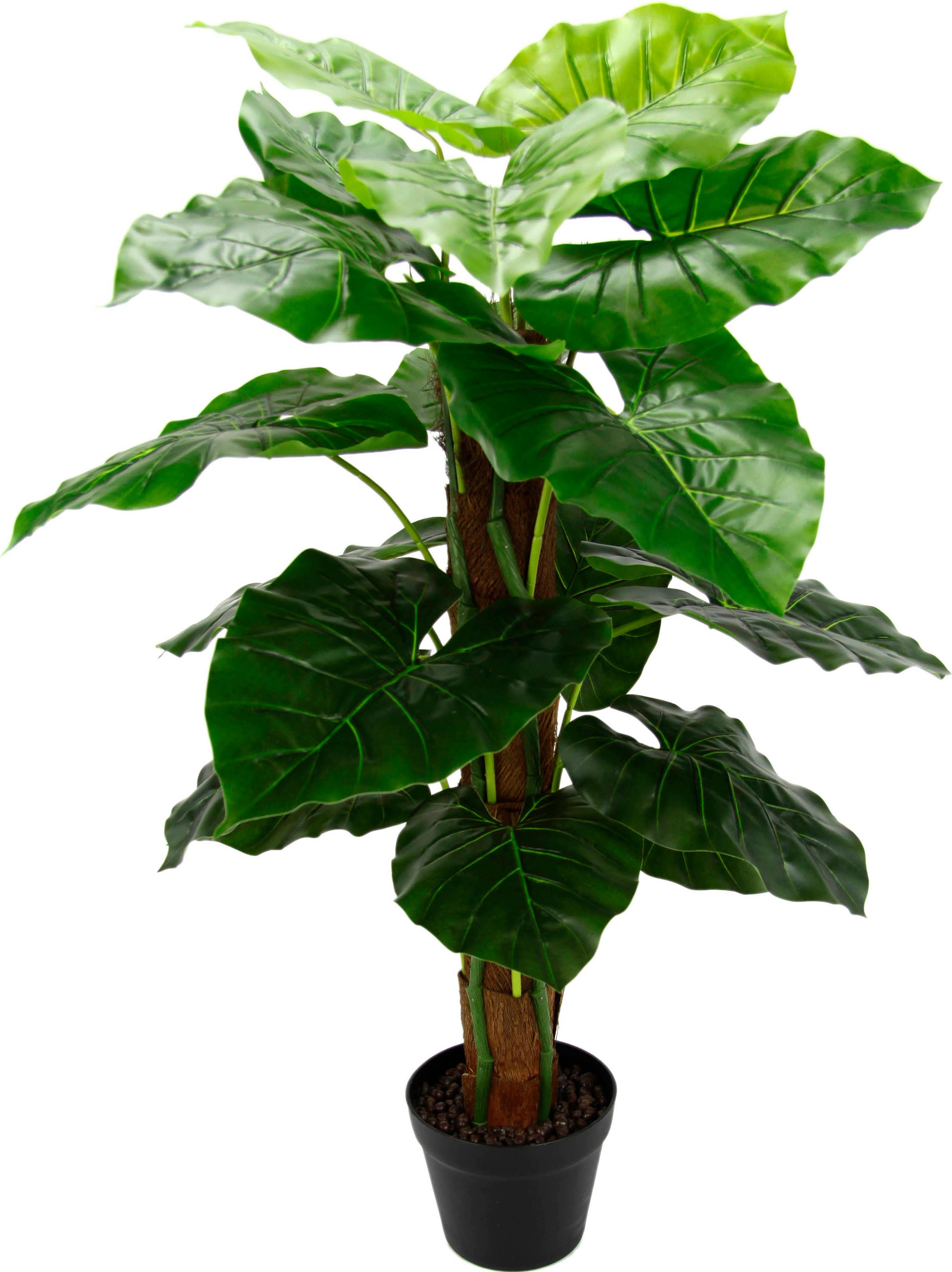 Zimmerpflanze Melamintopf im kaufen bequem green »Anthurium«, Creativ Künstliche