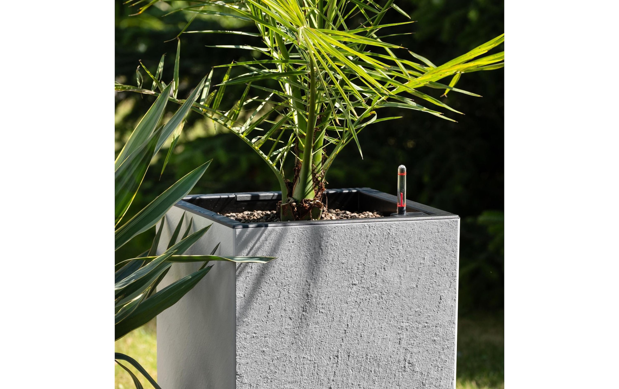   Bac à plantes »Lechuza CANTO Slatestone 30 high«