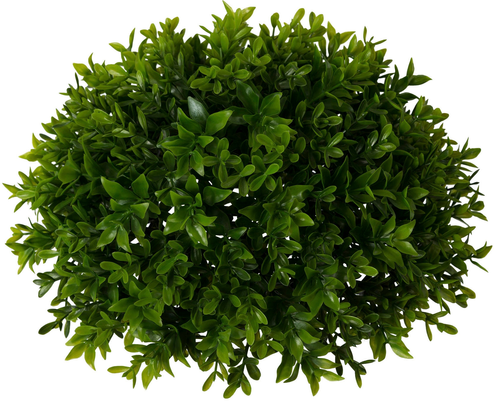 Creativ green Kunstpflanze »Buchsbaumhalbkugel« günstig kaufen