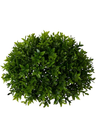 Creativ green Kunstpflanze »Buchsbaumhalbkugel«, (1 St.) kaufen