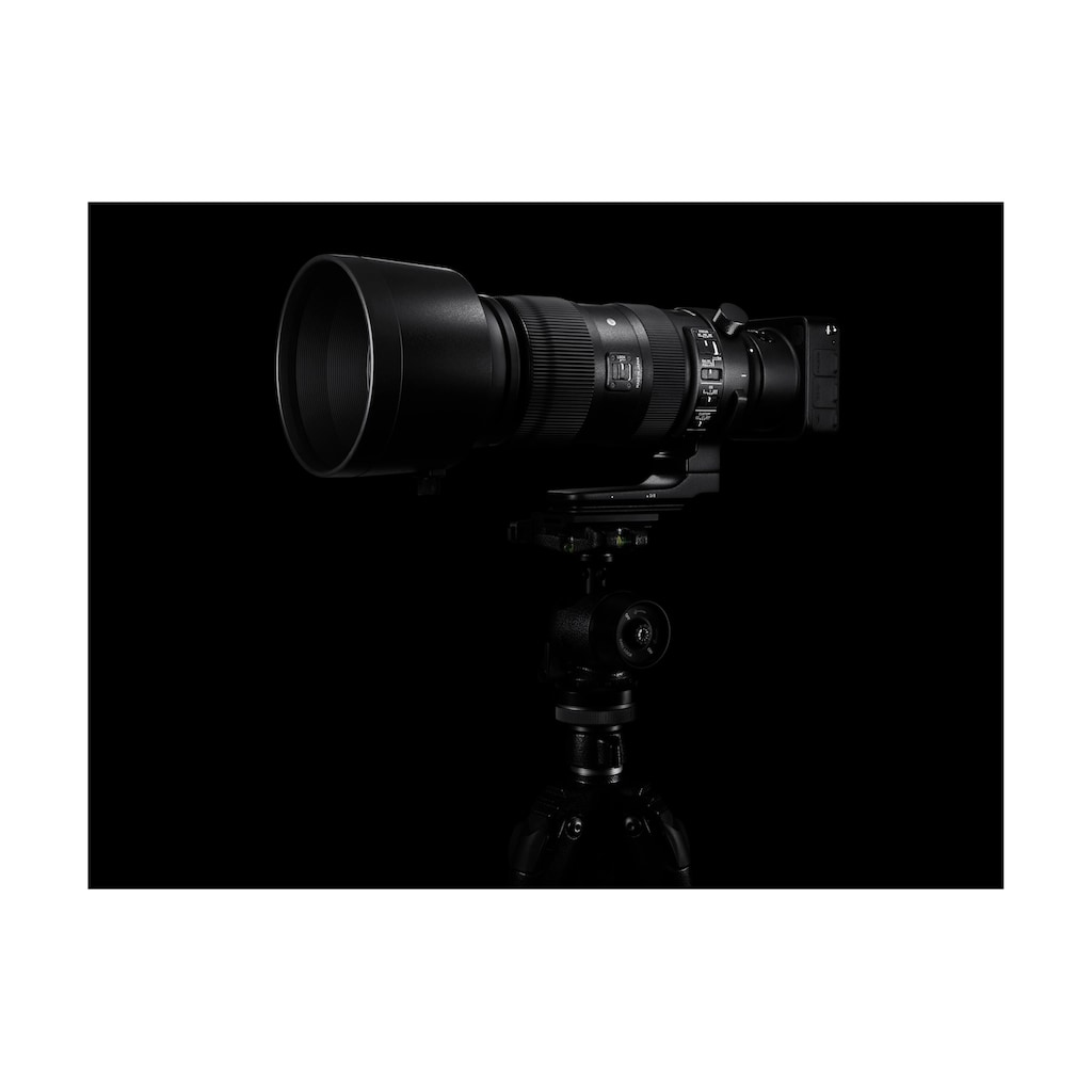 SIGMA Zoomobjektiv »60-600mm f / 4.5-6.3 DG OS HSM Sp Ca«