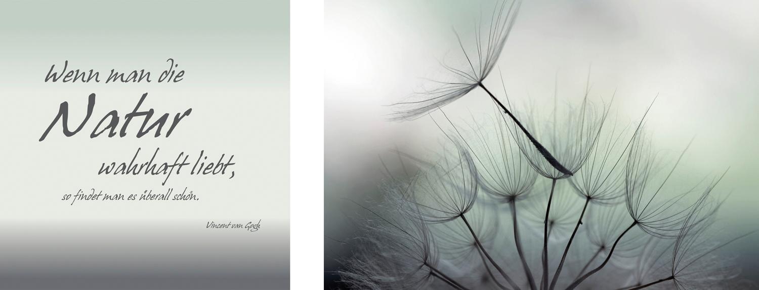 Image of queence Leinwandbild "Natur" Blumen Blumenbilder Kunst Modern Schriftzug Schriftzüge Spa Spa Bilder Sprüche Sprüche & Texte Set, Premium-Leinwandstoff, Handarbeit aus Deutschland, Zitat, 2er Set