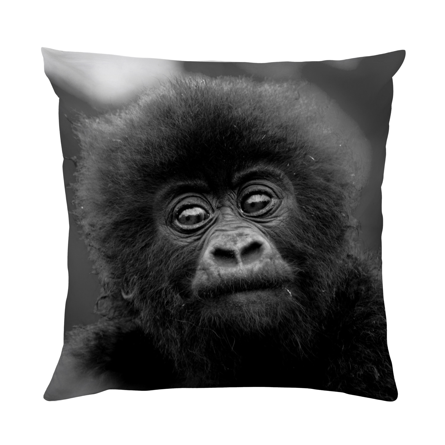 queence Dekokissen »Affen Baby« Kissenhülle mit HD Premium Druck, geruchsneutral, 40x40cm