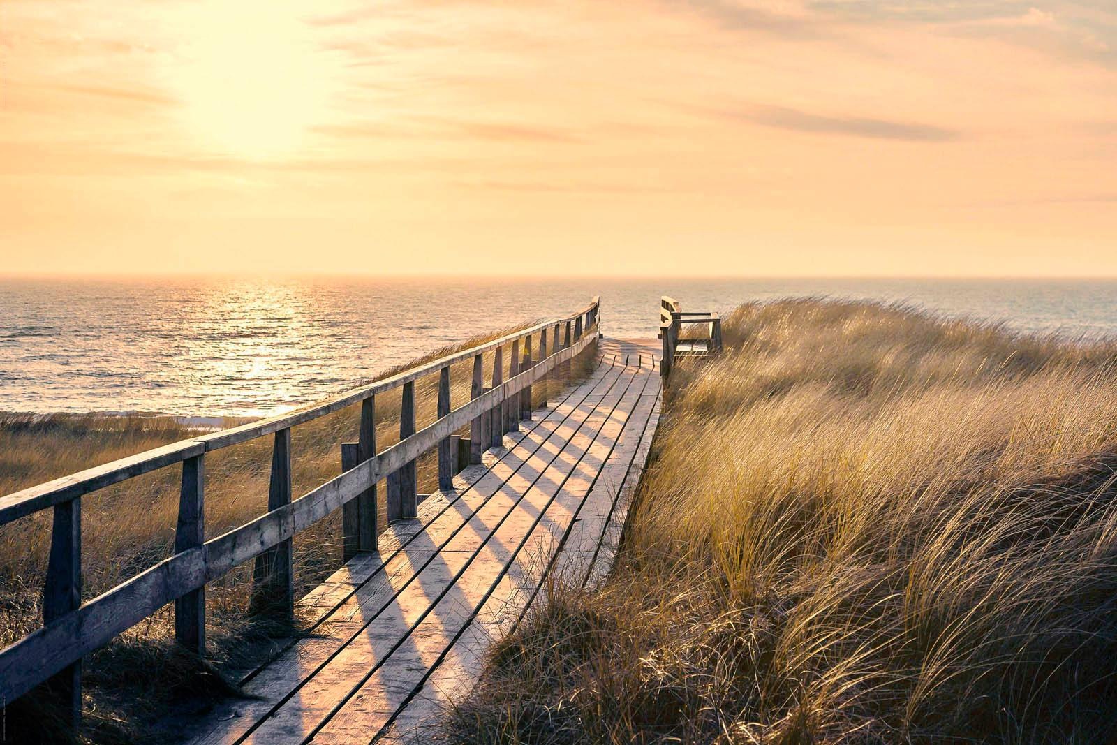 Image of Reinders! Deco-Panel »Weg zum Strand«, 90/60 cm bei Ackermann Versand Schweiz