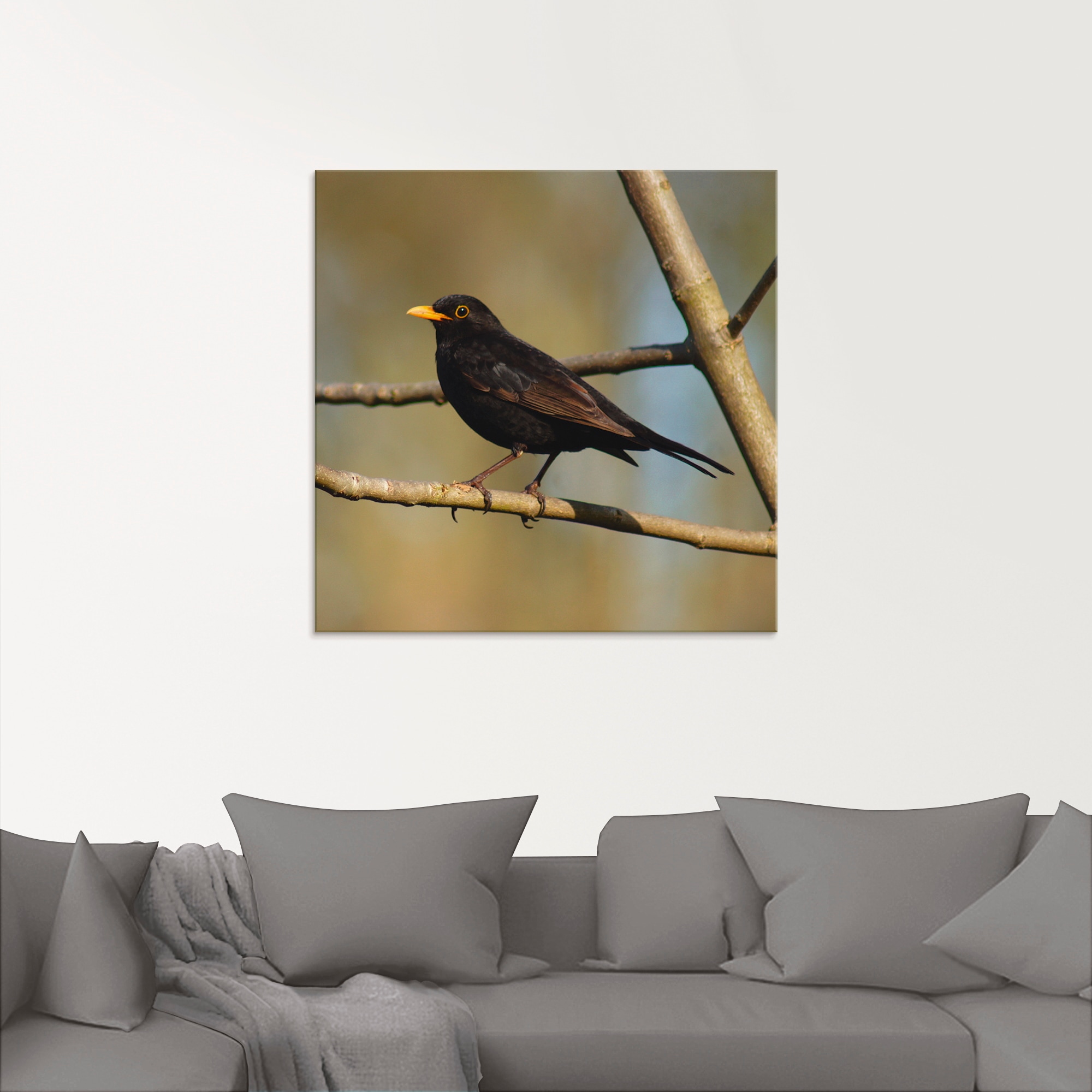 Artland Glasbild »Amsel«, Vögel, (1 St.), in verschiedenen Grössen
