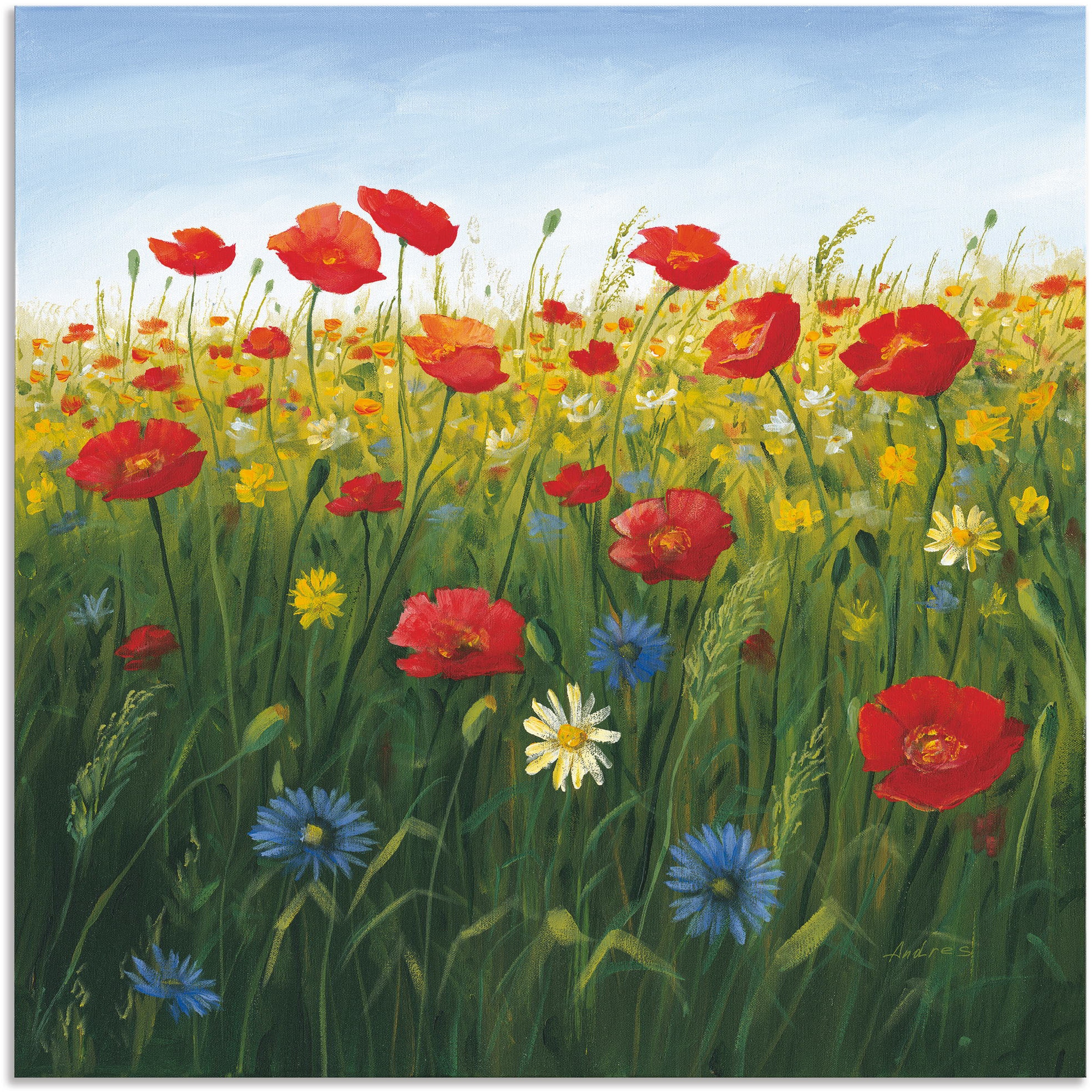 Image of Artland Wandbild "Mohnblumen Landschaft I" Blumenwiese 1 Stk. tlg. als Alubild, Leinwandbild in verschied. Grössen
