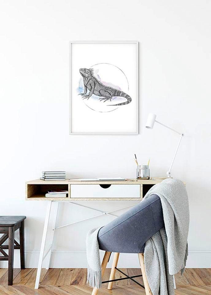 Image of Komar Bild "Iguana Watercolor" Tiere 1 Stk. tlg. Wandbild zur Dekoration - ohne Rahmen