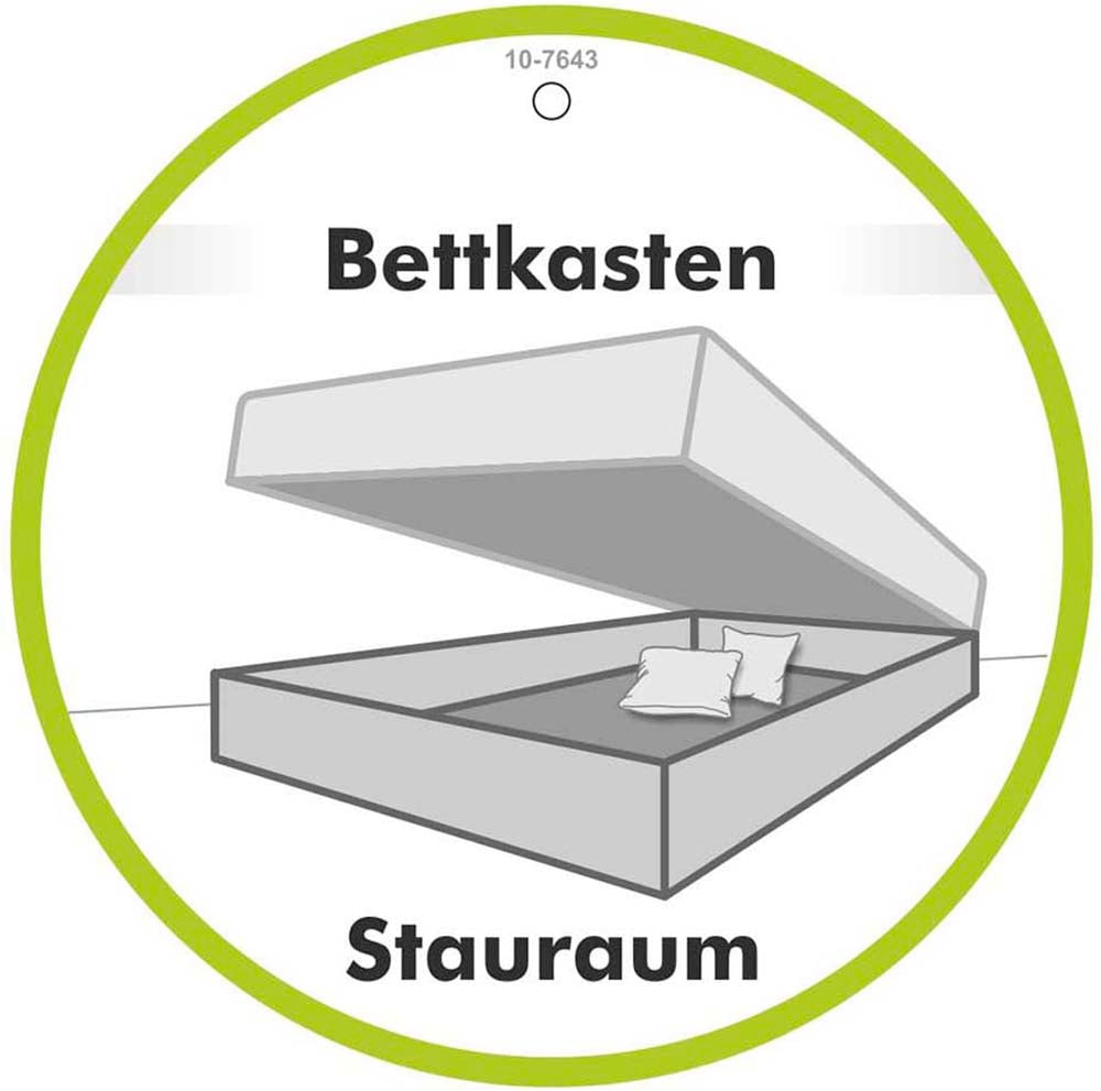 Jockenhöfer Gruppe Boxspringbett »AMY mit Bettkasten, inkl. Taschenfederkernmatratze Härtegrad H3-H4« mit 6 cm Kaltschaum-Topper, Samt-Bezug, 180x200 und 200x200 cm