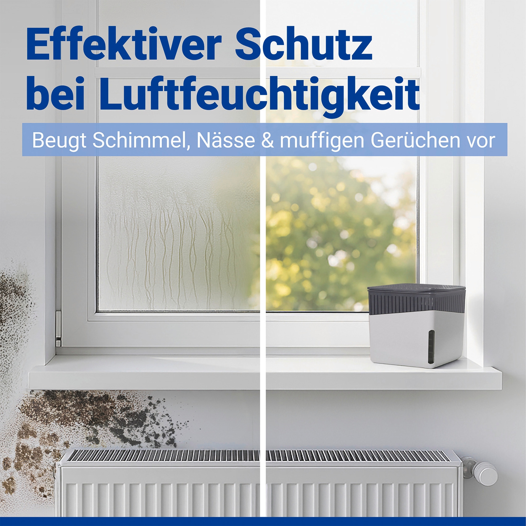 WENKO Déshumidificateur d'air »Cube« für 40 m³ Räume 2 x 500 g