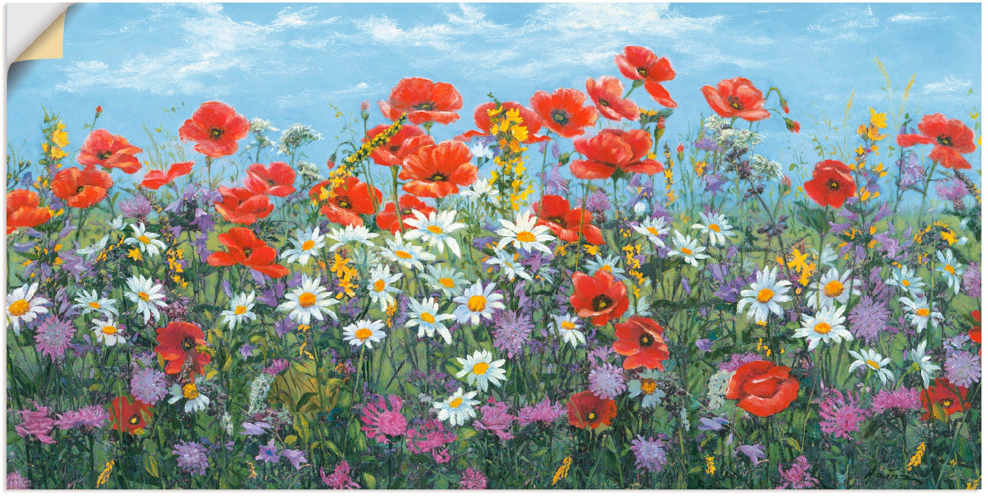 Image of Artland Wandbild »Almwiese«, Blumenwiese, (1 St.), in vielen Grössen & Produktarten - Alubild / Outdoorbild für den Aussenbereich, Leinwandbild, Poster, Wandaufkleber / Wandtattoo auch für Badezimmer geeignet bei Ackermann Versand Schweiz