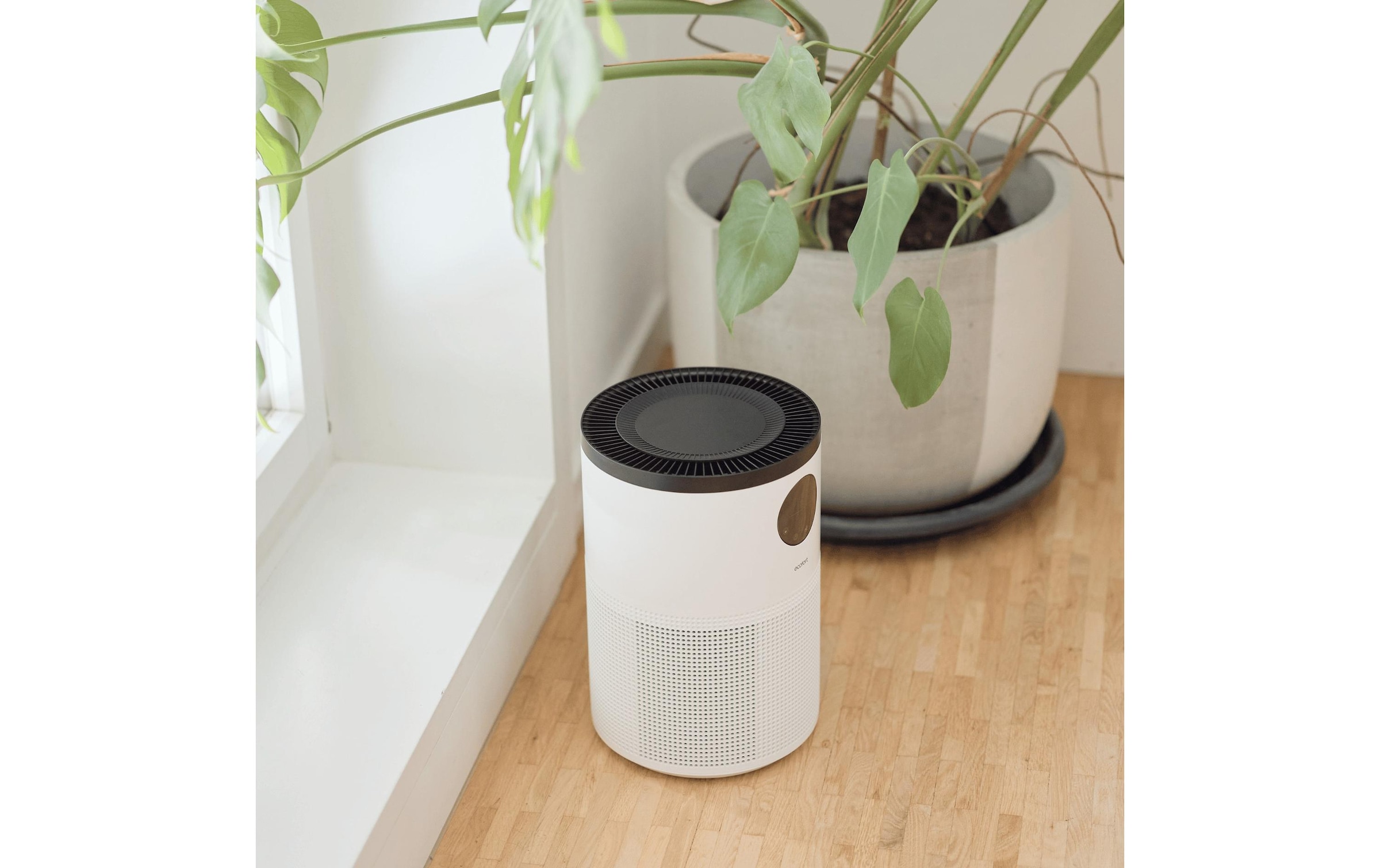 Luftreiniger »Ecofort Luftreiniger ecoQ CleanAir 300«, für 50 m² Räume