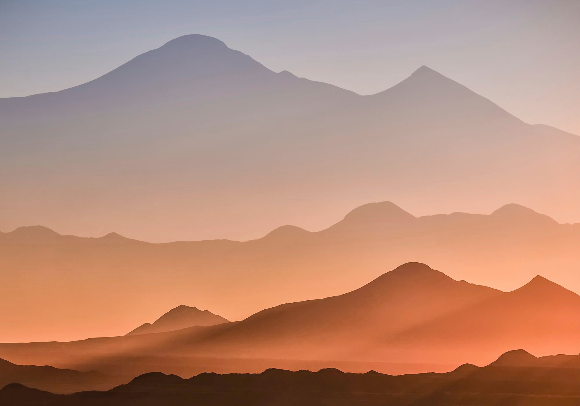 Image of Komar Fototapete »Tolar Grande«, bedruckt-Comic-Retro-mehrfarbig, BxH: 400x280 cm bei Ackermann Versand Schweiz