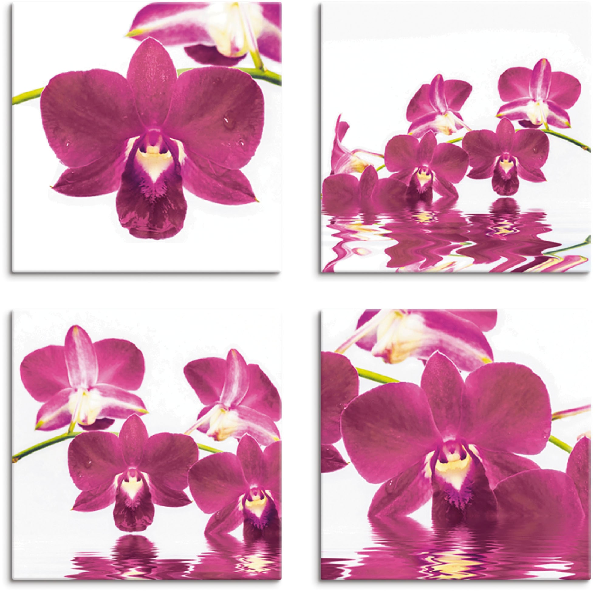 Image of Artland Leinwandbild "Phalaenopsis Orchidee" Blumen 4 Stk. tlg. 4er Set, verschiedene Grössen