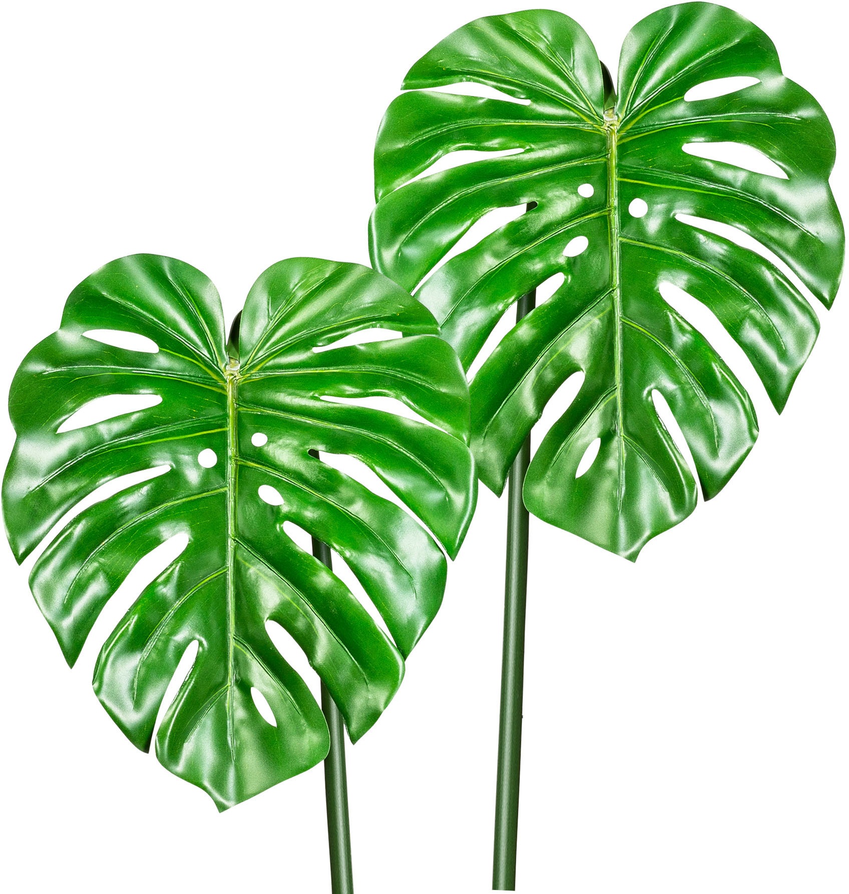 Image of Creativ green Kunstzweig »Splitphilodendronblatt«, (2 St.) bei Ackermann Versand Schweiz