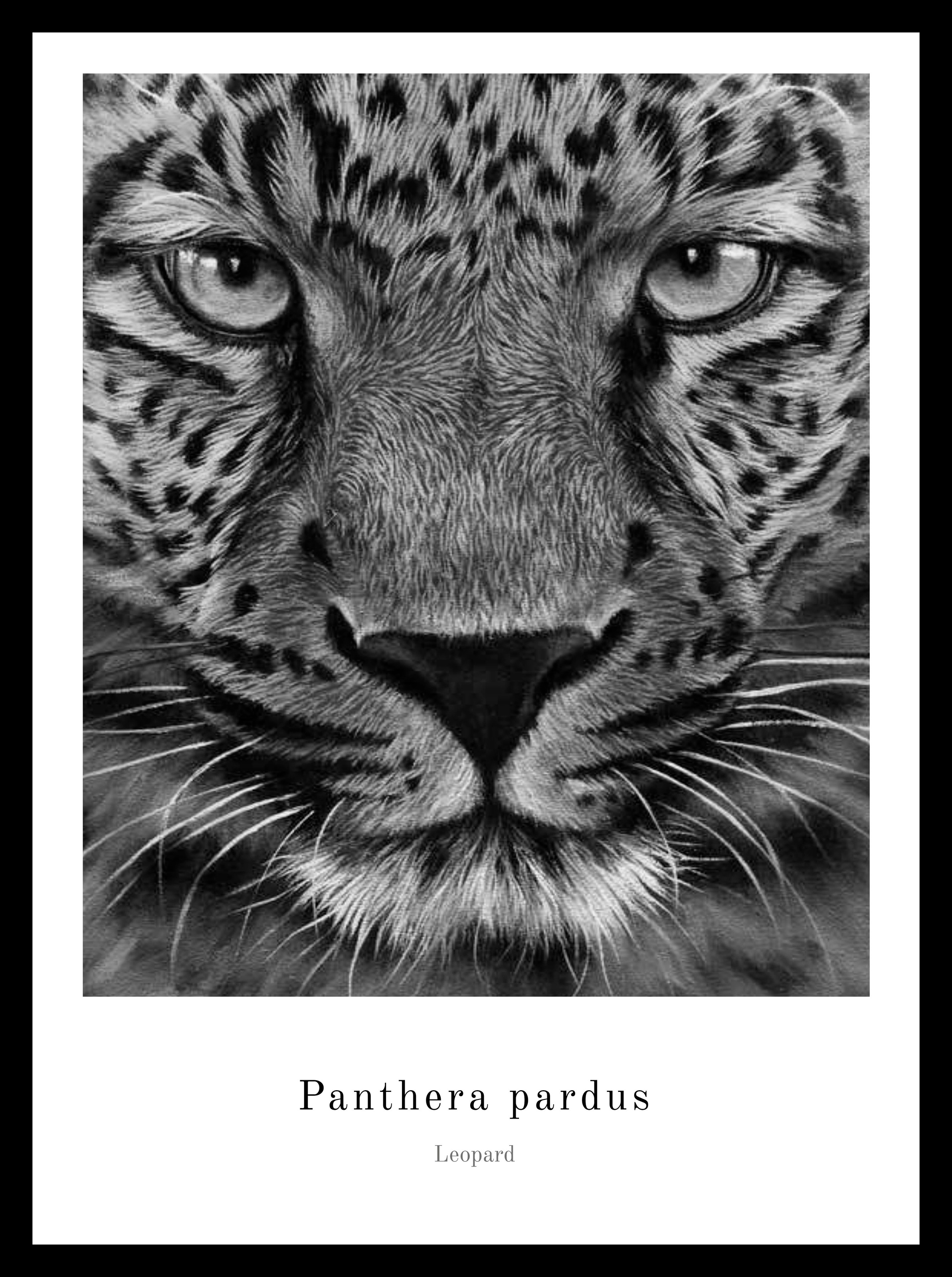 Image of Spiegelprofi GmbH Bild »Panther«, hochwertiger Kunstdruck, Rahmen schwarz bei Ackermann Versand Schweiz