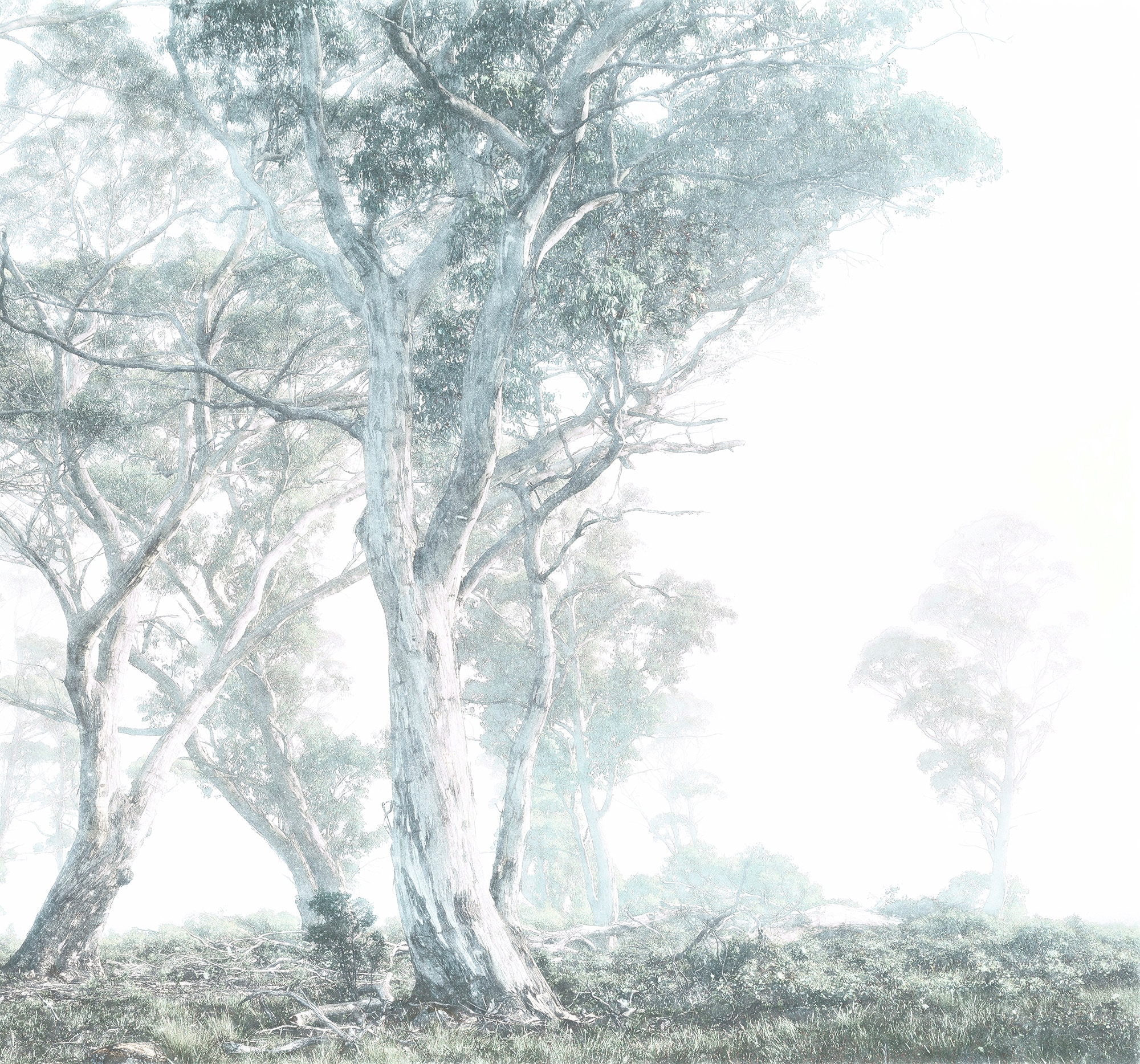 Image of Komar Vliestapete "Digitaldruck Vlies - Magic Trees - Grösse 300 x 280 cm" bedruckt glatt Wohnzimmer, Schlafzimmer
