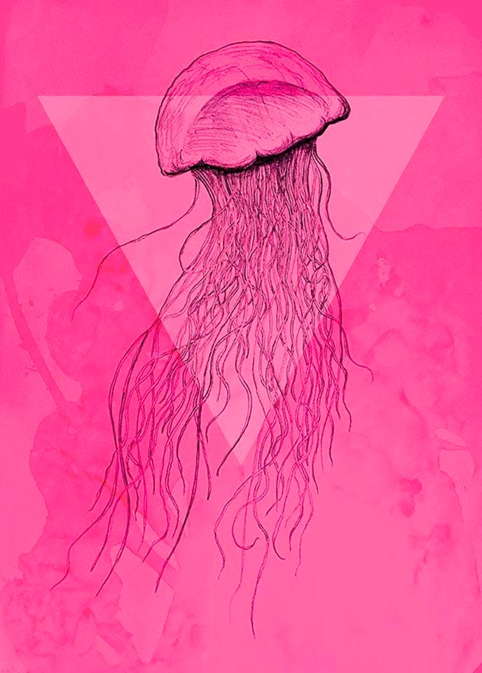 Komar Poster Kinderzimmer, »Jellyfish Wohnzimmer sur Pink«, Tiere, Schlafzimmer, St.), Trouver (1