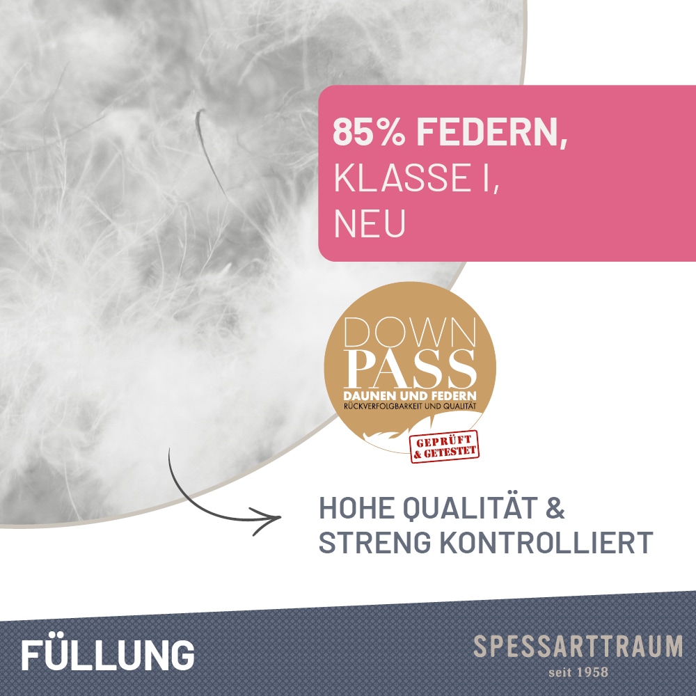 SPESSARTTRAUM Federkissen »FIRST CLASS, Kopfkissen 1-tlg. oder  2-tlg. 40x80 oder 80x80 cm« Füllung: 85% Federn, 15% Daunen 1 Stk. tlg. hergestellt in Deutschland, allergikerfreundlich, im Set günstiger