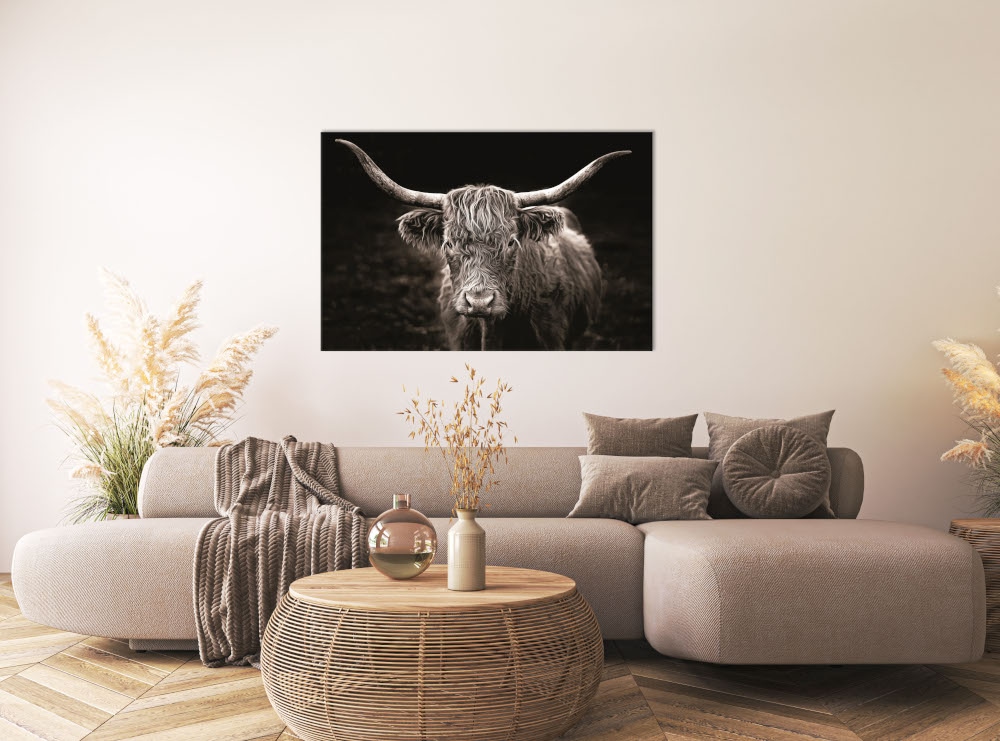Image of Bönninghoff Leinwandbild "Hochlandrind" Kuhbilder 1 Stk. tlg. BxH: 118x78 cm