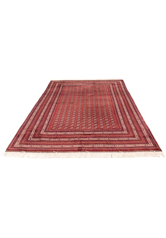 morgenland Orientteppich »Afghan - Buchara - 300 x 200 cm - rot«, rechteckig, 7 mm... kaufen