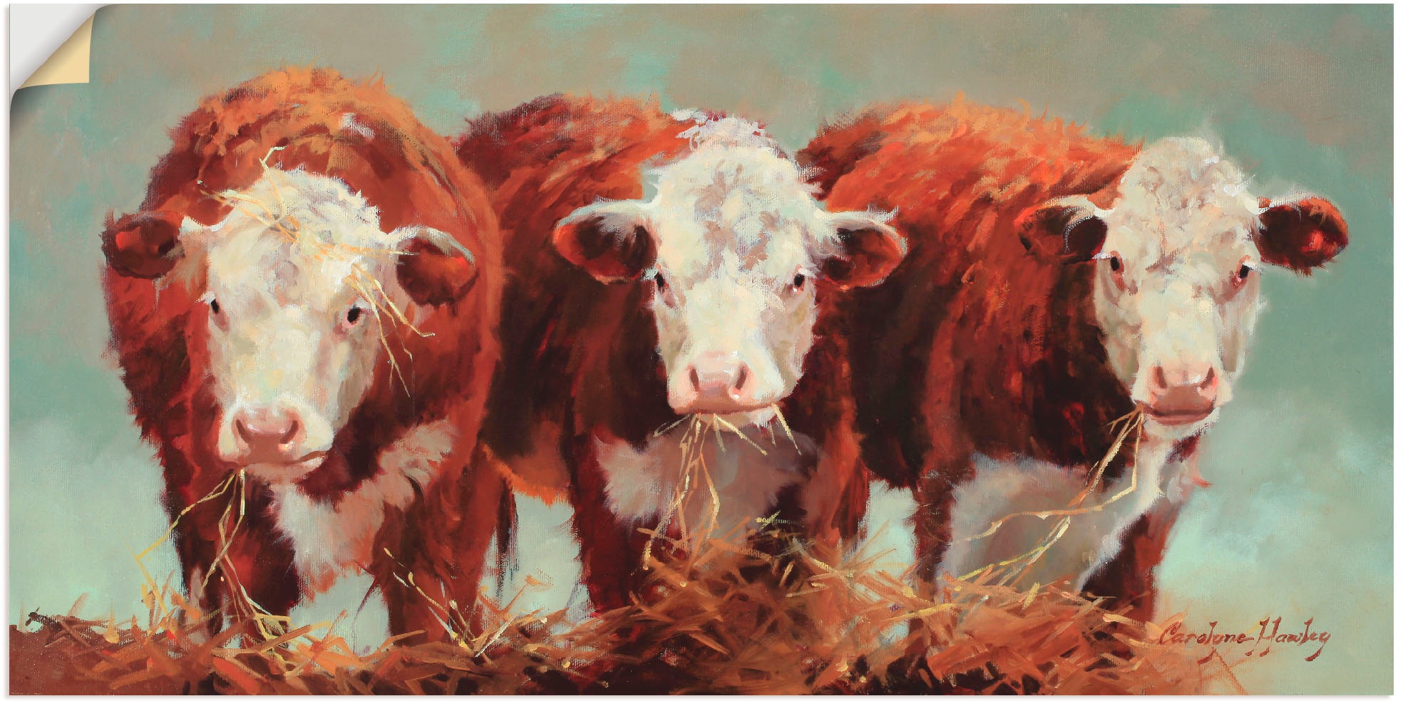 Image of Artland Wandbild »Drei von einer Art«, Haustiere, (1 St.), in vielen Grössen & Produktarten - Alubild / Outdoorbild für den Aussenbereich, Leinwandbild, Poster, Wandaufkleber / Wandtattoo auch für Badezimmer geeignet bei Ackermann Versand Schweiz