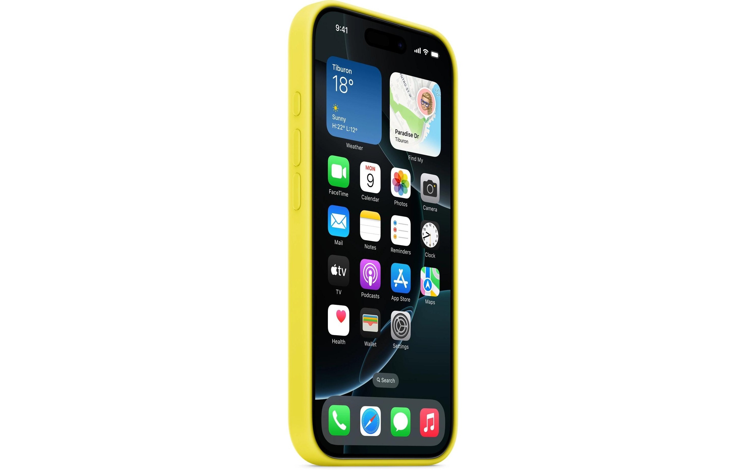 Apple Smartphone Silikon Case mit MagSafe, iPhone 16 Pro, Sternfrucht