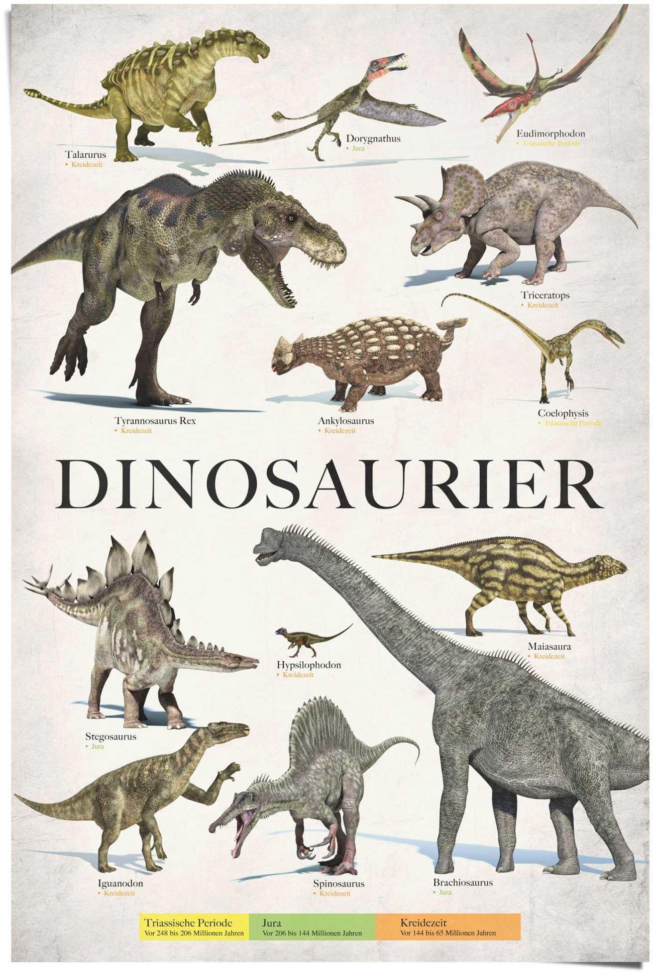 Image of Reinders Poster "Dinosaurier" 1 Stk. tlg.