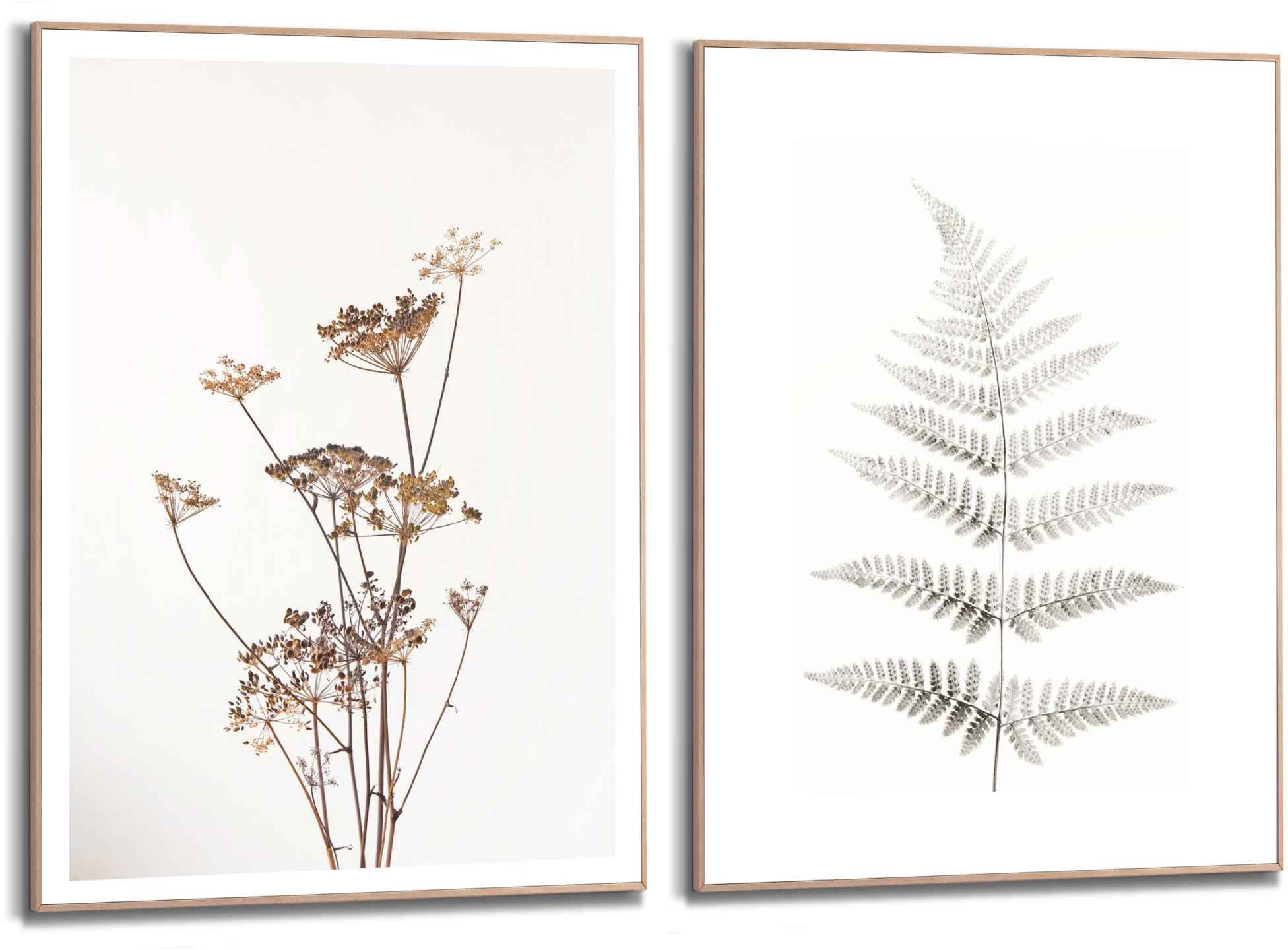Image of Reinders! Wandbild »Wandbilder Set Getrocknete Blume Pflanz - Natur - Farn- Bärenklau«, Blumen, (2 St.) bei Ackermann Versand Schweiz