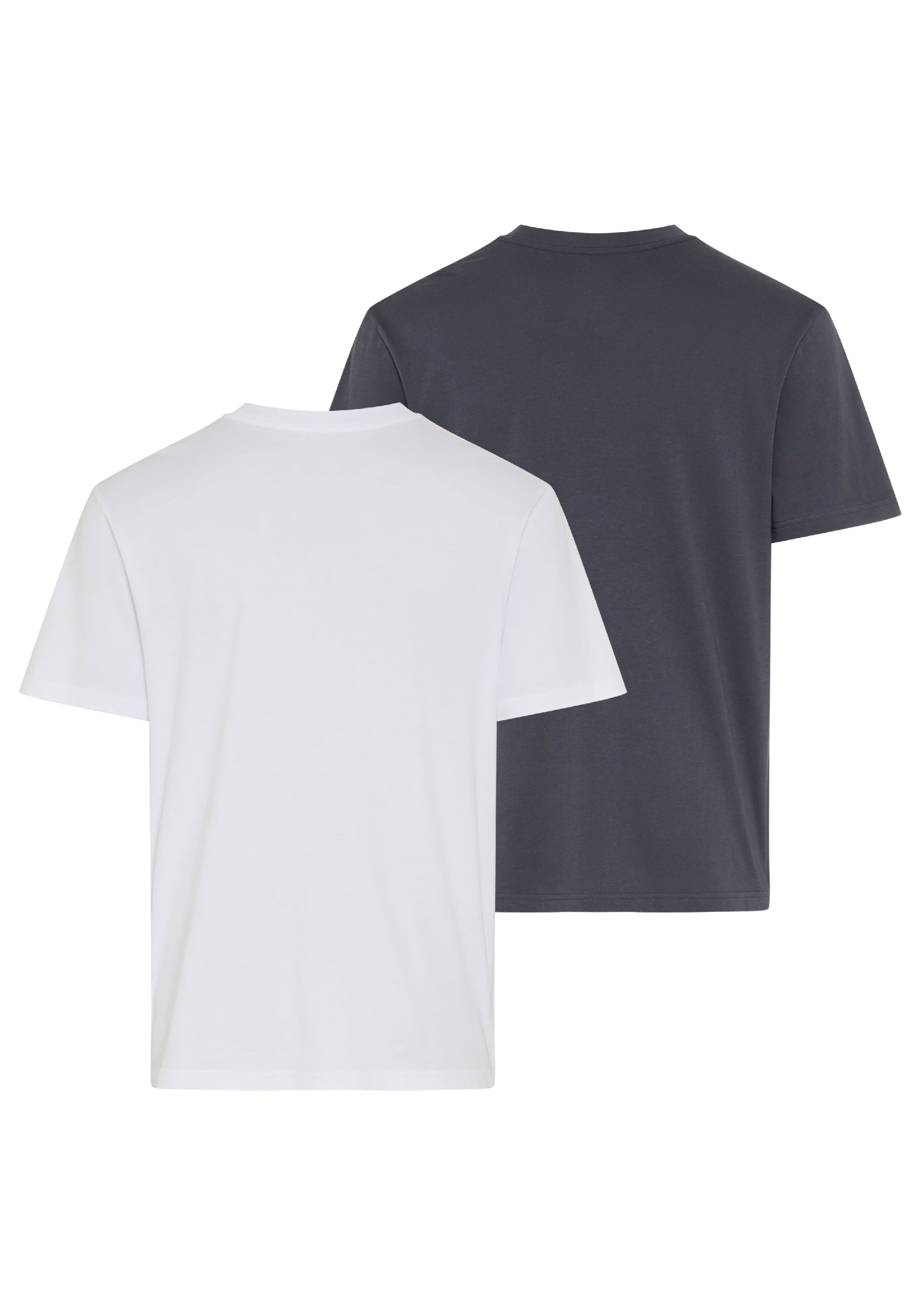 Billabong T-Shirt »ROTOR ICON DOUBLEPACK« 2 Doppelpack, mit 2 T-Shirts, Kurzarm, aus Baumwoll-Jersey