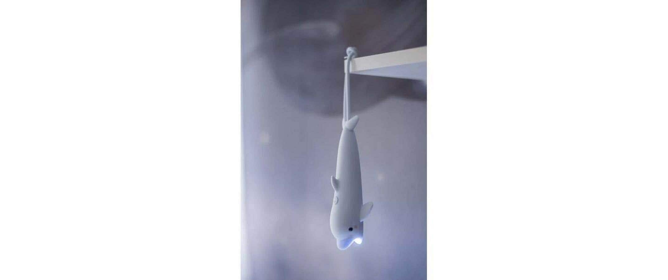   Lampe de poche »Flashlight LED Luz Led fest verbaut«