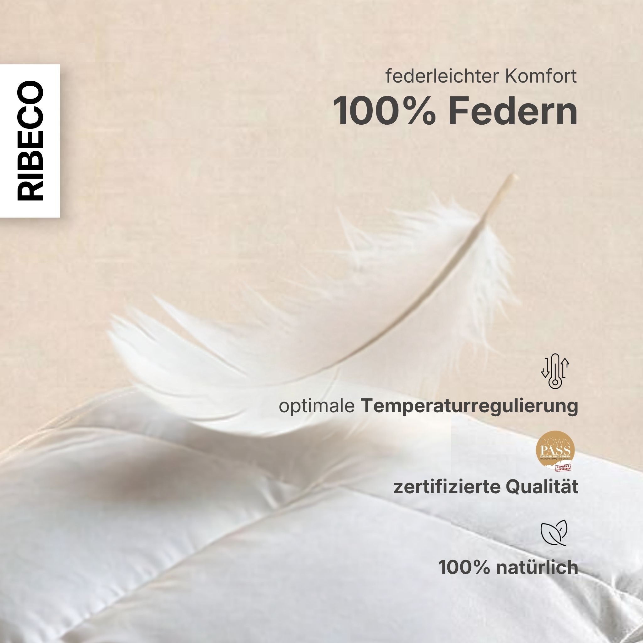 RIBECO Couette en plumes »Bettdecke extra prall in 135x200 und 155x220cm Topseller,« ultra-chaud Füllung 100 % plumes 1 cuis tlg. Couette, extra chaude, fabriquée en Allemagne, avec un coussin gratuit de 80x80 cm