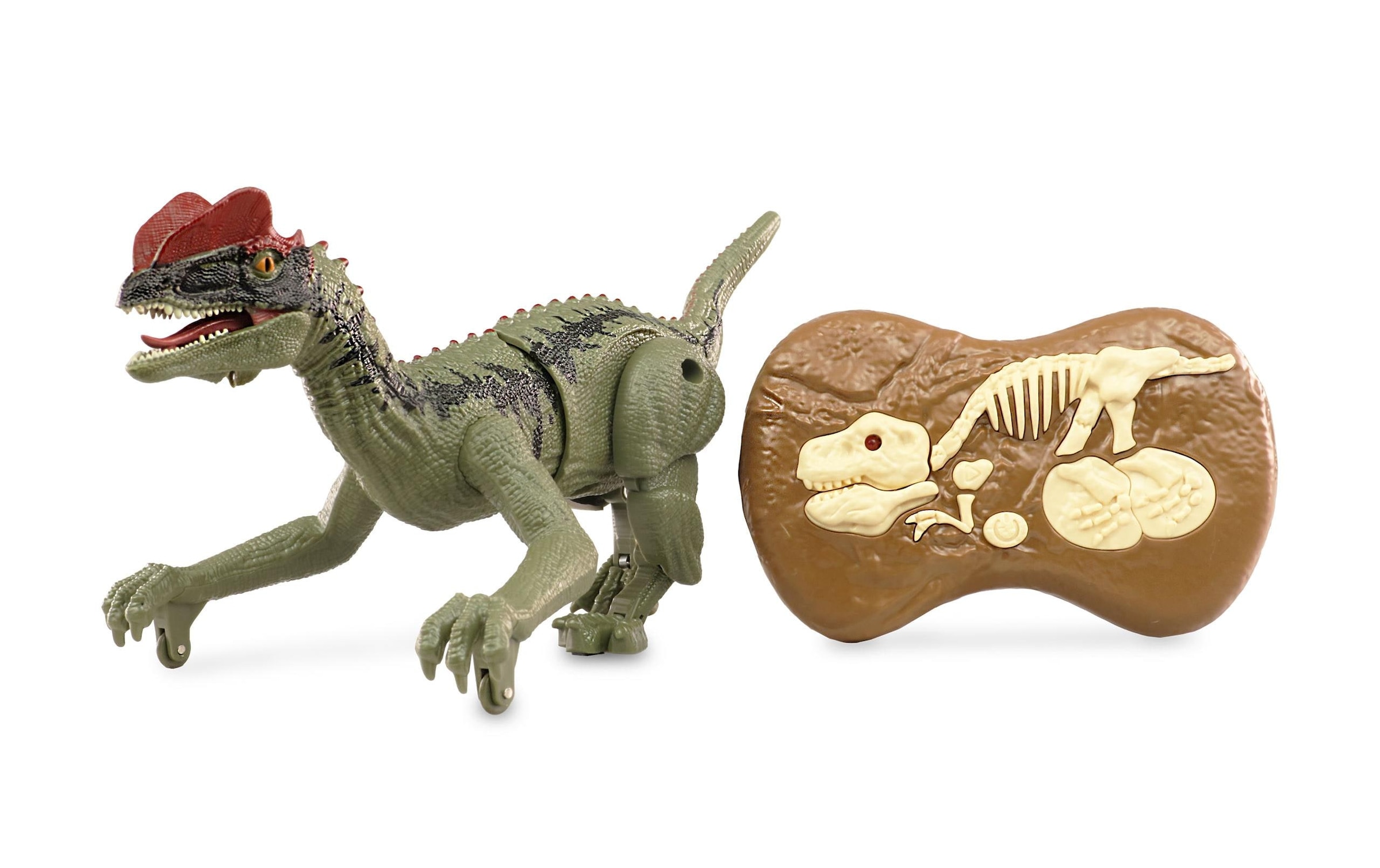 Amewi RC-Tier »Dinosaurier Allosaurus RTR«