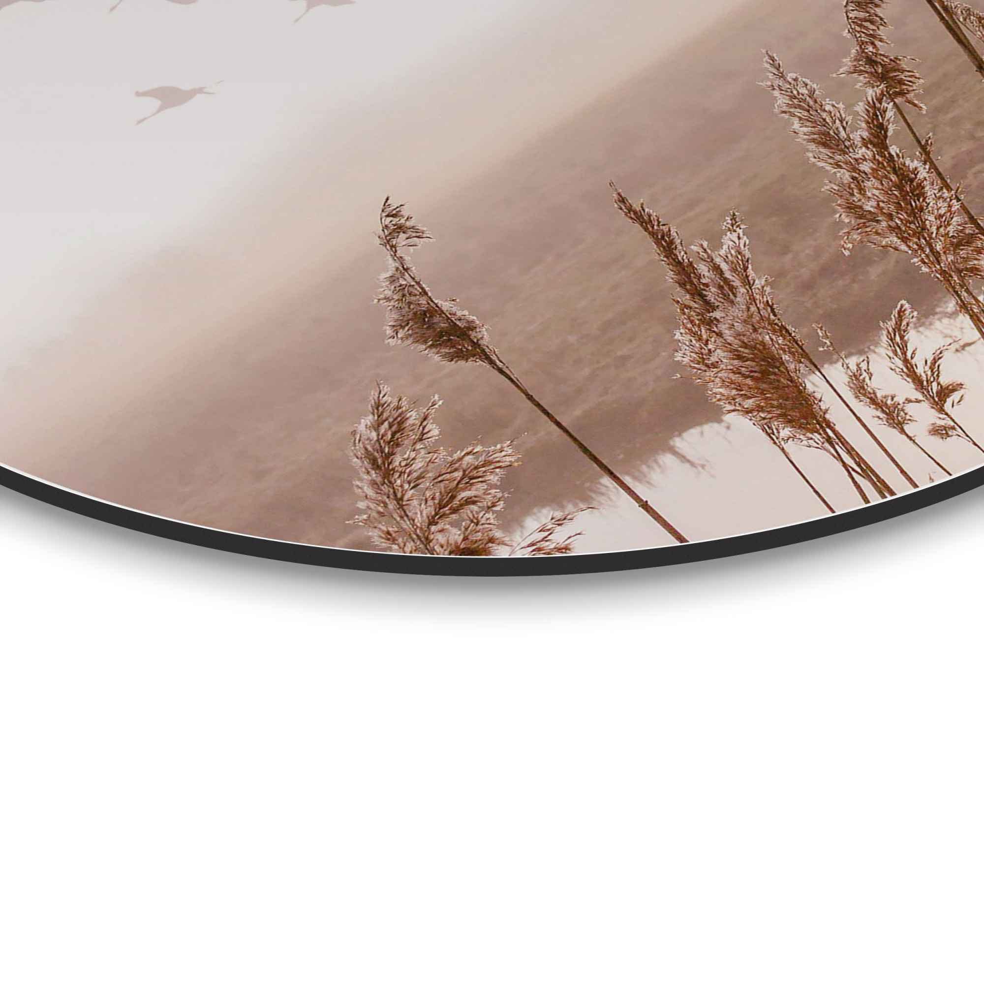versandkostenfrei (1 St.) »Wandbild Horizont«, - - Reinders! Fliegende ♕ auf Sommer Pampasgras Gänse - Vögel, Himmel Wandbild