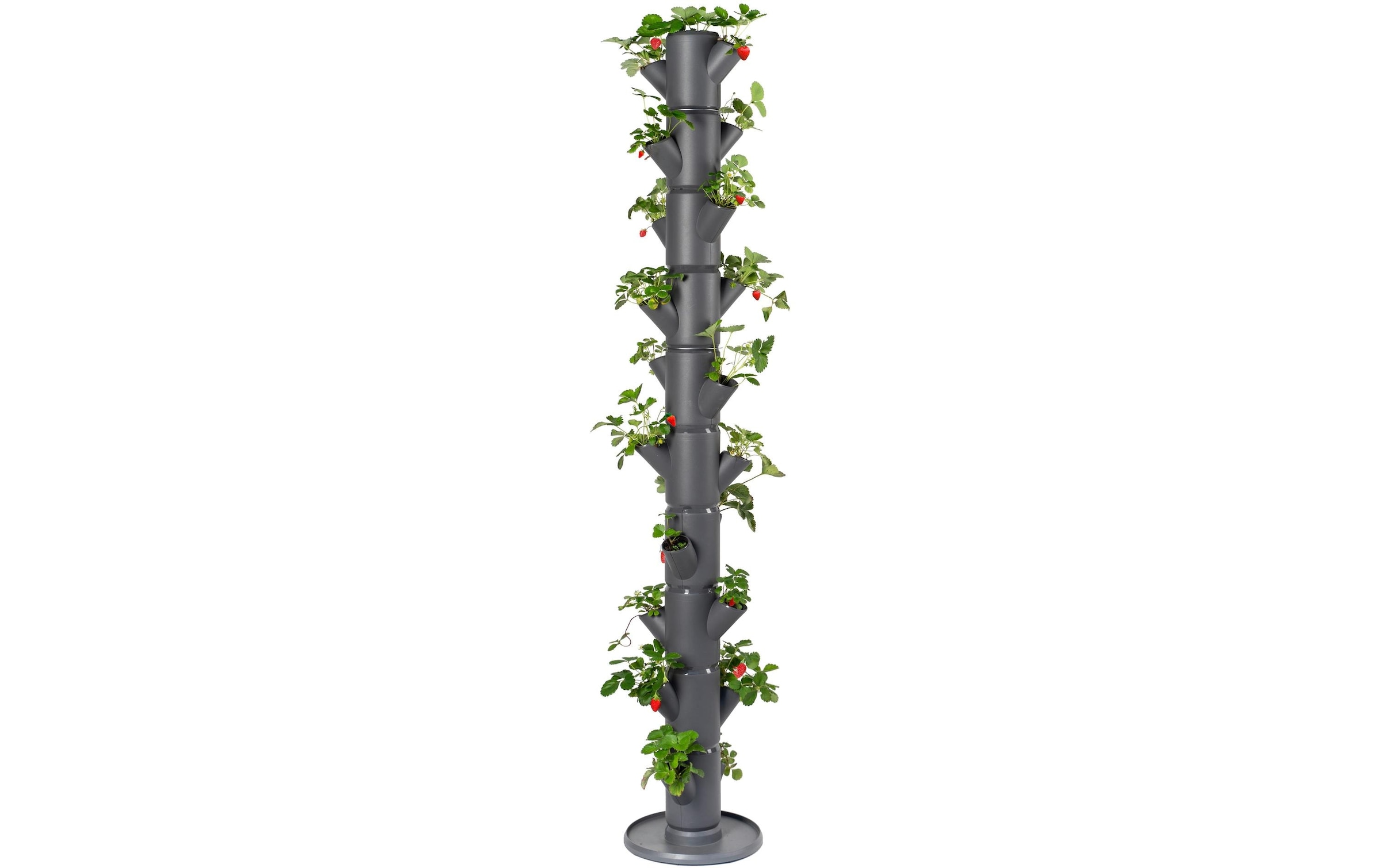 Gusta Garden Anzuchttopf »infinity anthrazit«, (1 St.)