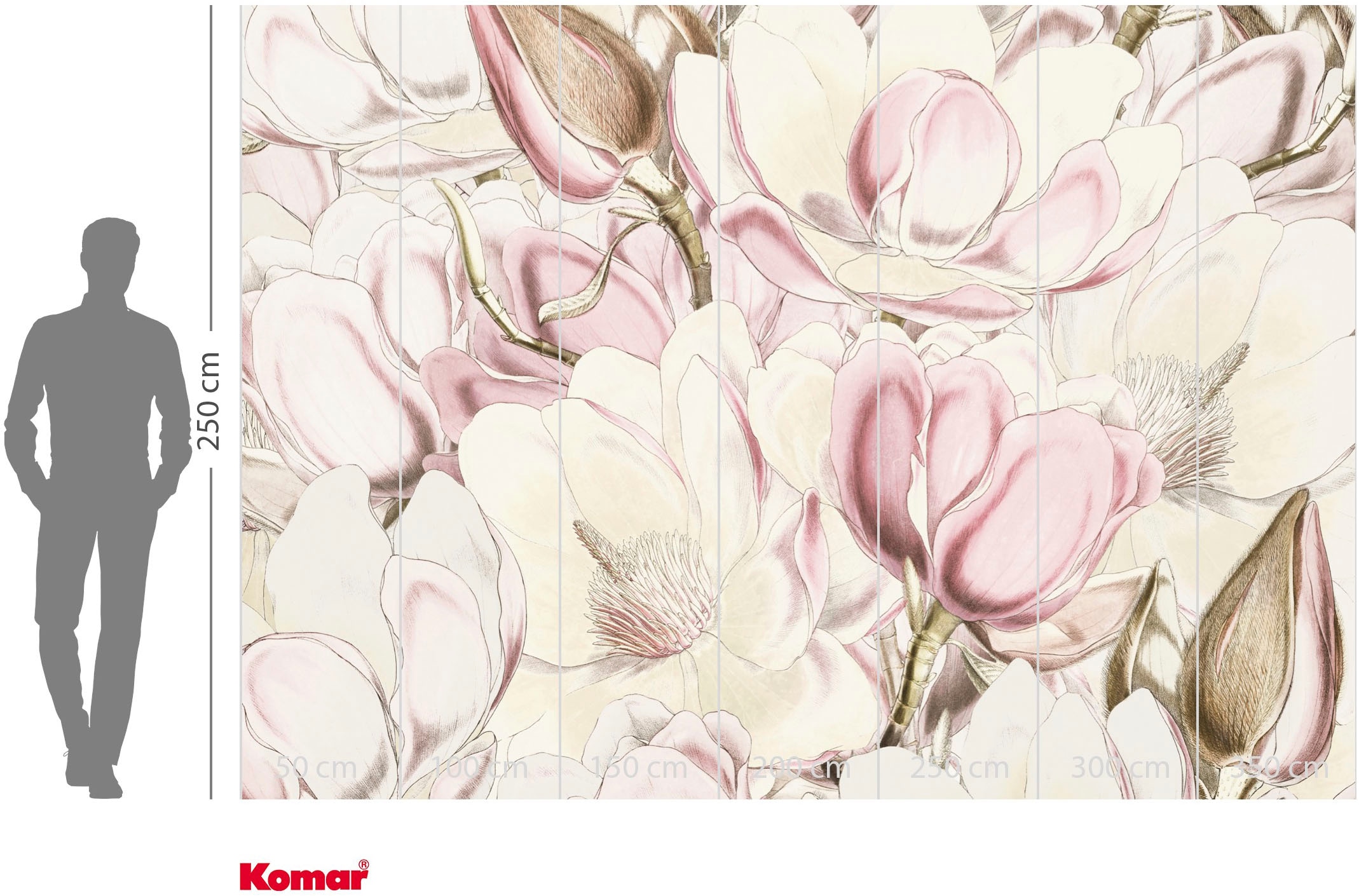 Komar Fototapete »Vlies Fototapete - Petals - Grösse 350 x 250 cm« Motiv | bedruckt glatt