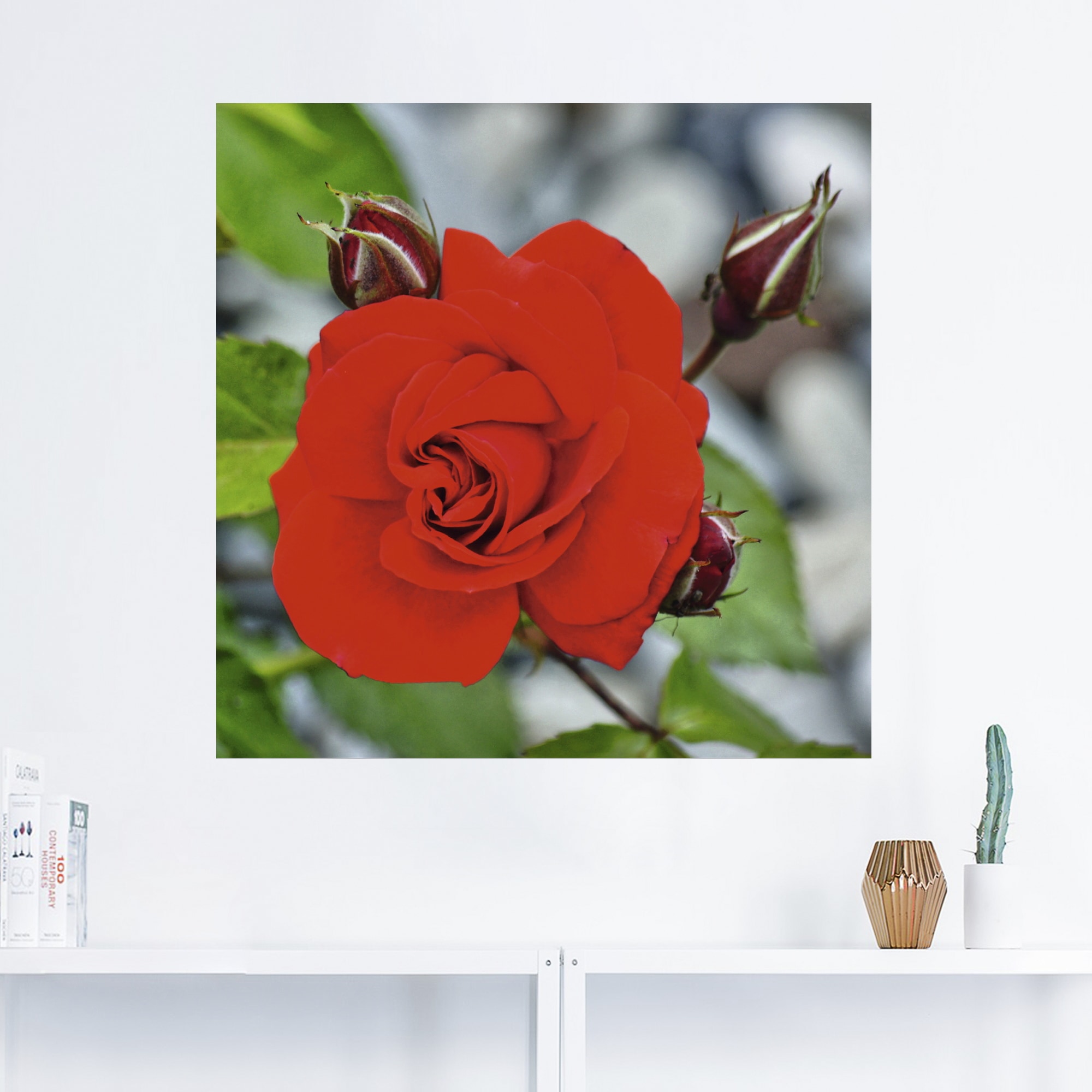 Artland Wandbild »Rote Rosenblüte mit Knospen«, Blumen, (1 St.), als Leinwandbild, Wandaufkleber in verschied. Grössen