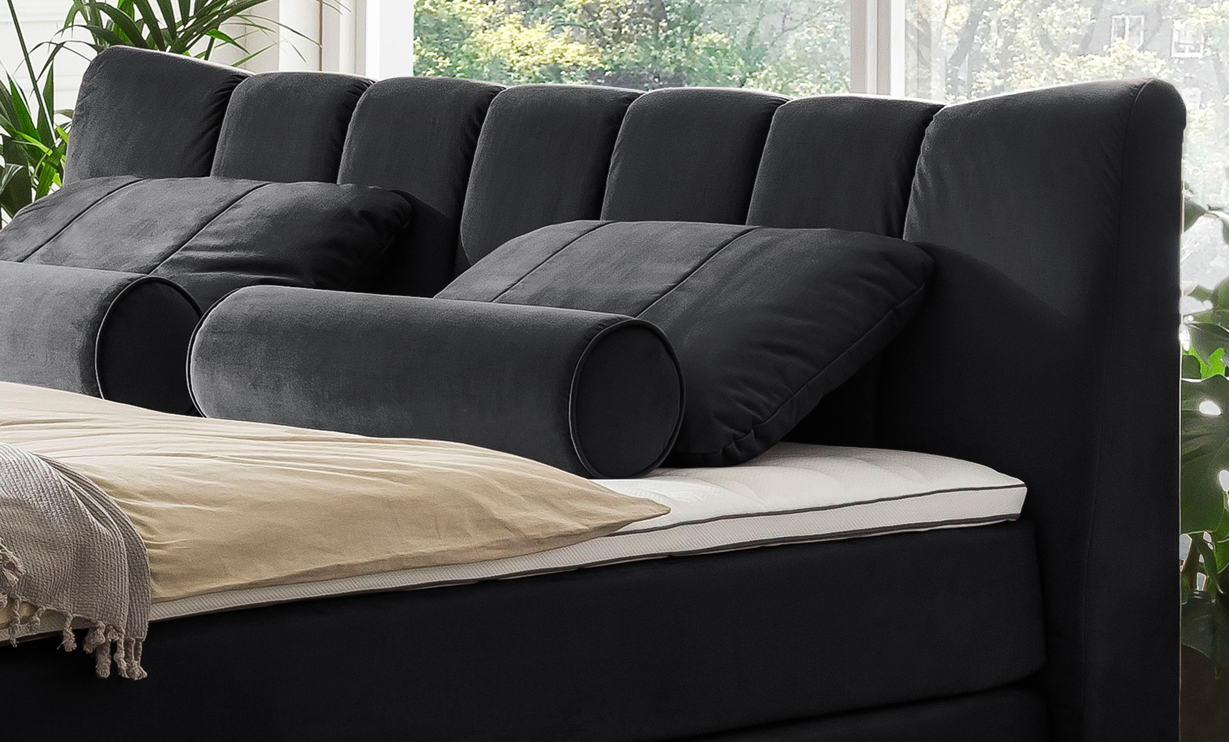 Image of Leonique Dekokissen »Océane«, (2 St., passend zum Bett Océane Samtvelours anthracite), passend zum Bett Oceáne in Samtvelours und Feinstruktur, 2-er Set bei Ackermann Versand Schweiz