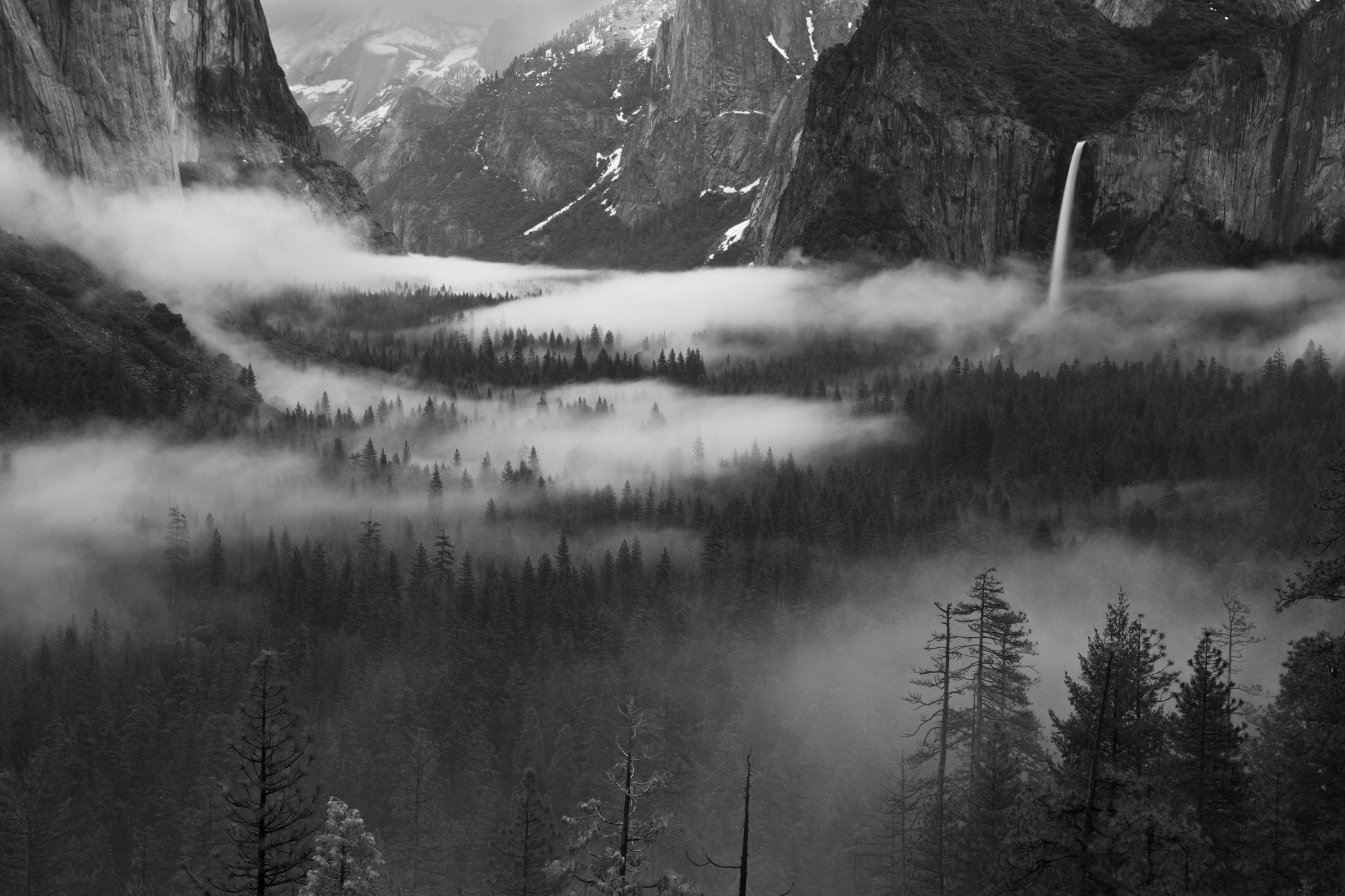 Image of Papermoon Fototapete »Photo-Art HONG ZENG, NEBEL, DER IN YOSEMITE VALLEY SCHWIMMT«, Vliestapete, hochwertiger Digitaldruck, inklusive Kleister bei Ackermann Versand Schweiz