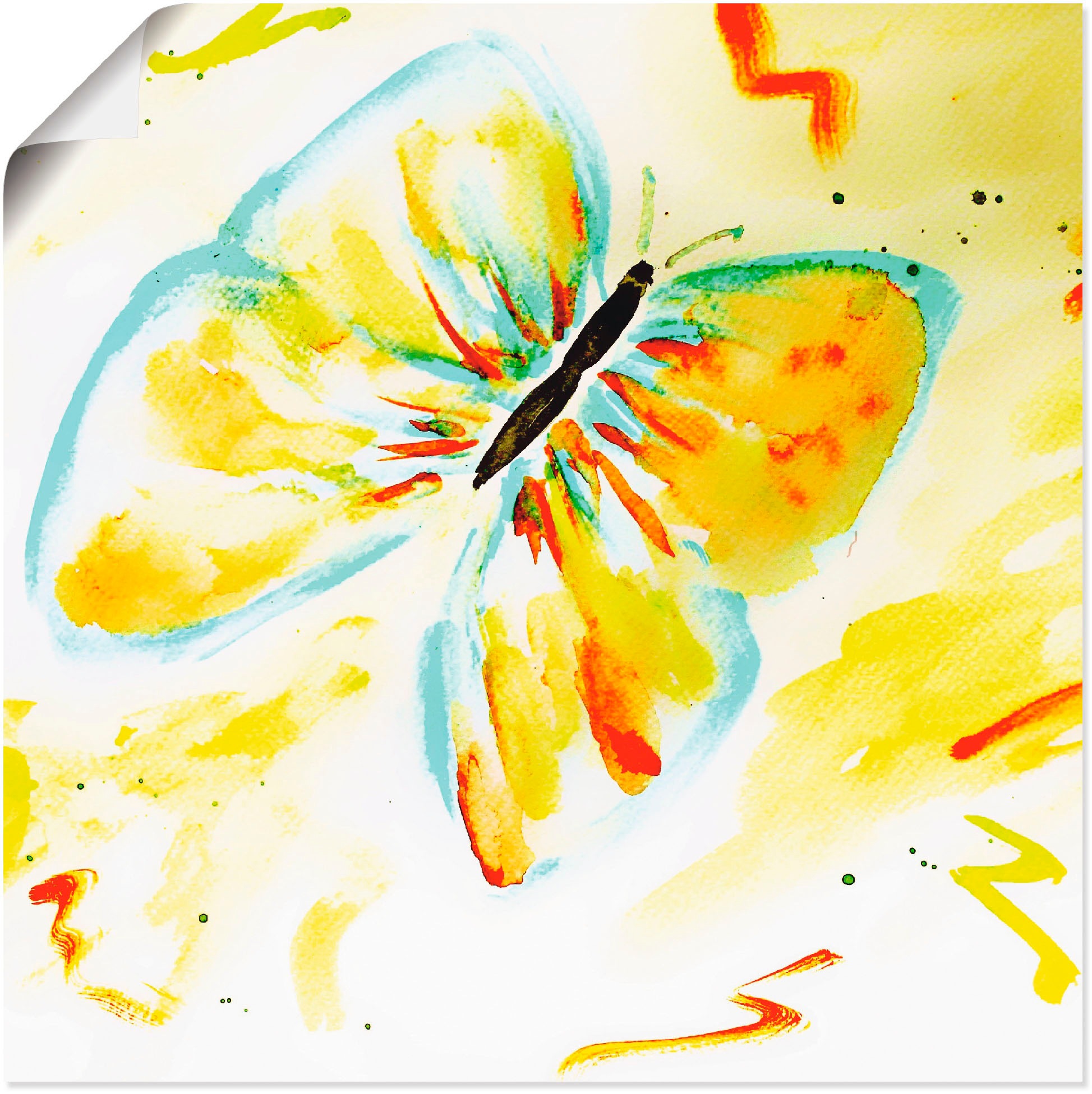 Image of Artland Poster "Schmetterling" Insekten 1 Stk. tlg. ohne Rahmen