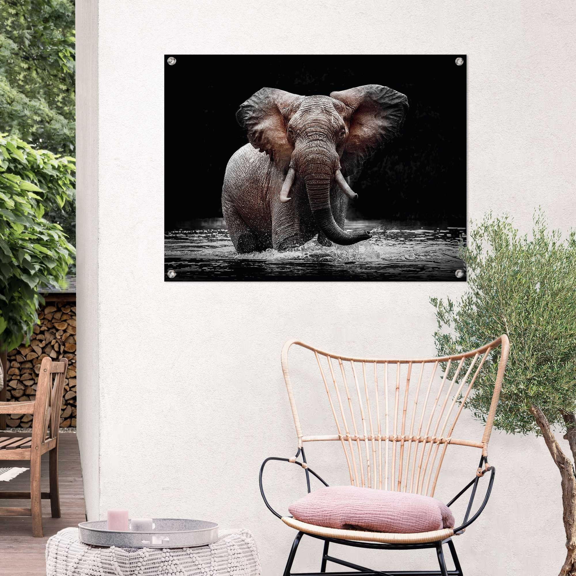 Reinders! Poster »Elefant«, Outdoor für Garten oder Balkon