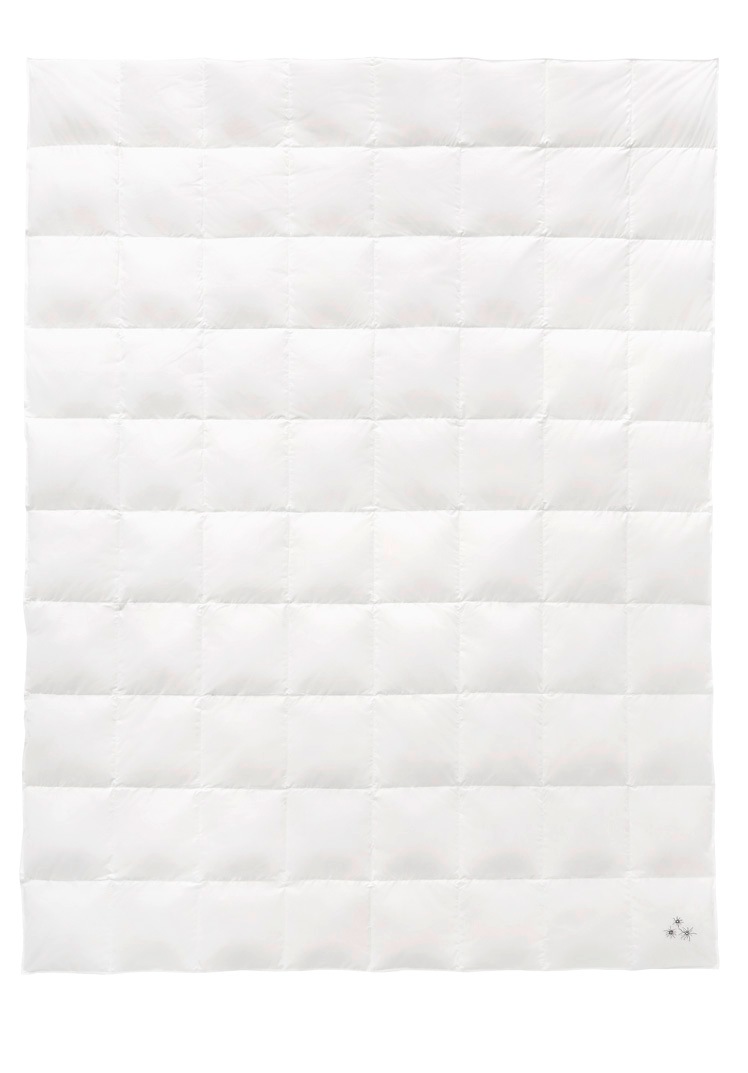 Image of Balette Daunenbettdecke »Weiss & Edel«, leicht, Füllung reine Entendaunen 60%, Bezug 100% Baumwolle, (1 St.), Mit Edelweiss Stickerei bei Ackermann Versand Schweiz