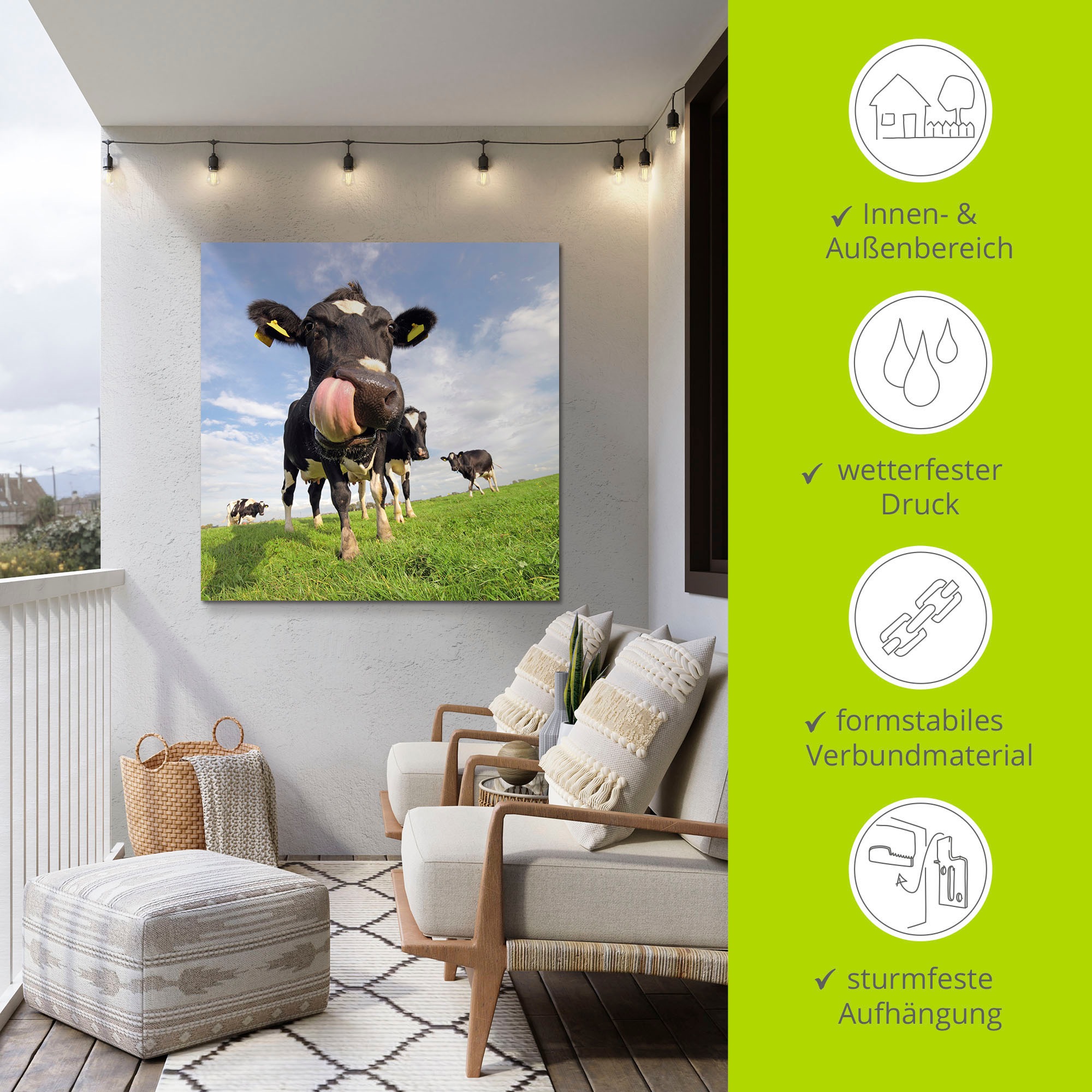 Artland Impression alu-dibond »Holstein-Kuh mit gewaltiger Zunge« 1 cuis tlg. für Innen- und Aussenbereich geeignet, Outdoorbild