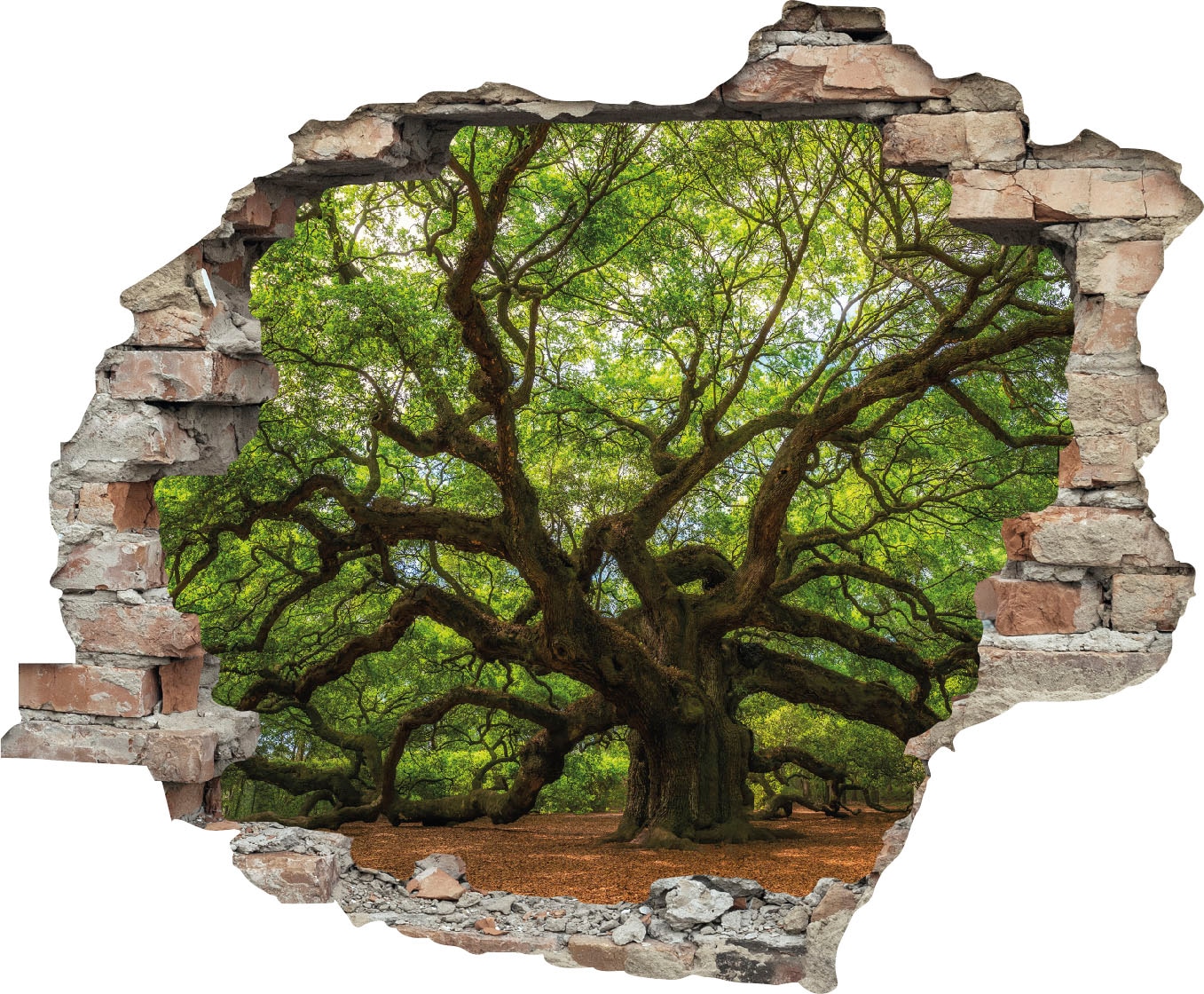 Image of queence Wandtattoo "Baum" Wandsticker, Wandbild, selbstklebend, 3D, Wanddurchbruch