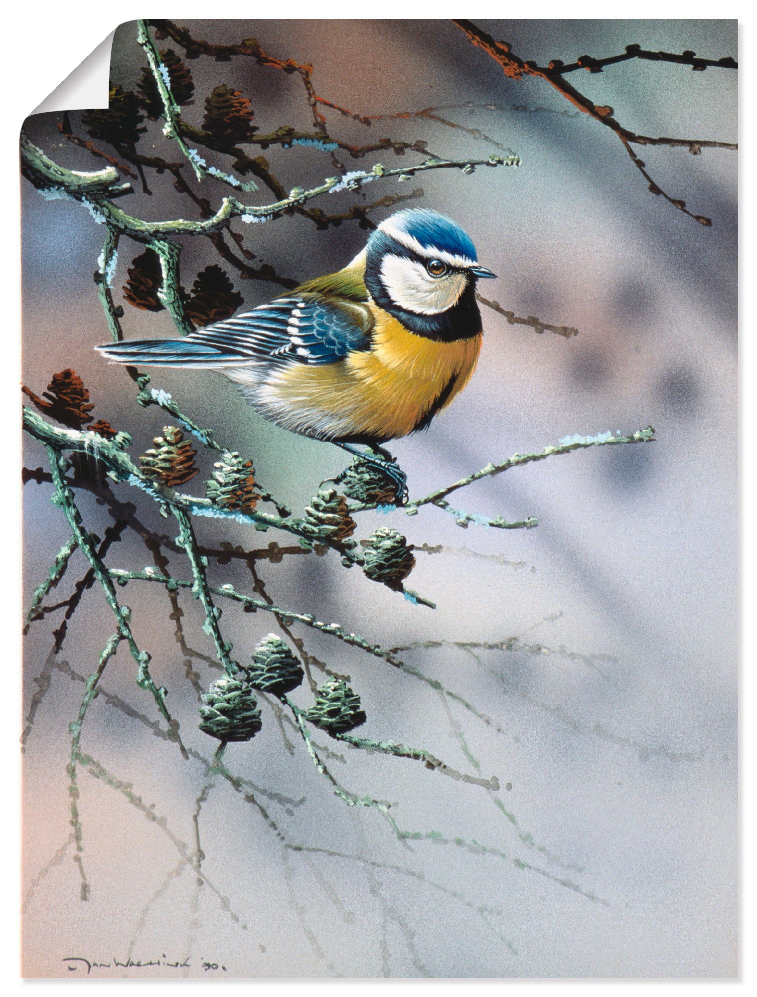 Image of Artland Wandbild »Vogel im Tannenbaum«, Vögel, (1 St.), in vielen Grössen & Produktarten -Leinwandbild, Poster, Wandaufkleber / Wandtattoo auch für Badezimmer geeignet bei Ackermann Versand Schweiz