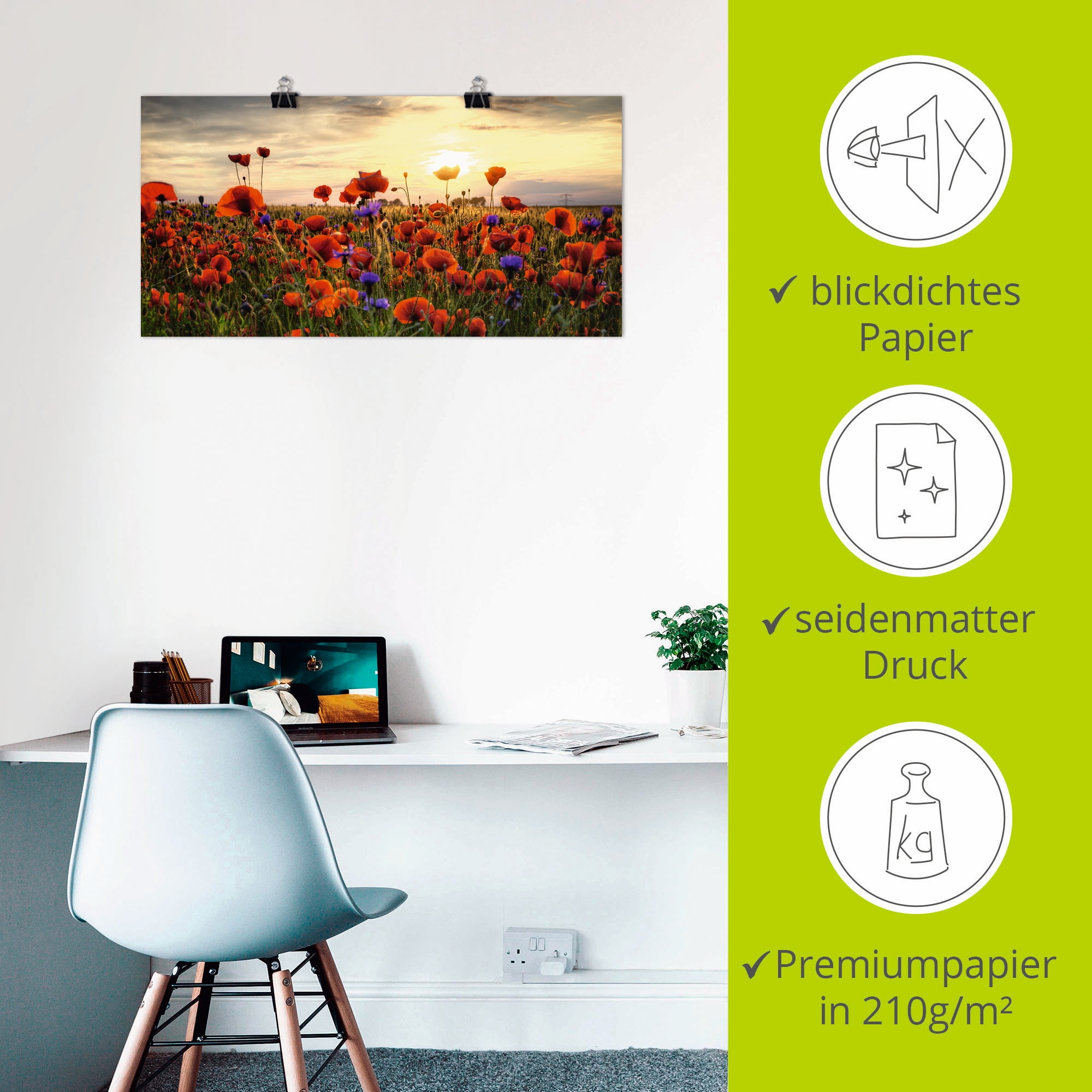 Artland Fresque murale »Mohnblumen« 1 cuis tlg. als Alubild, Leinwandbild, Poster in verschied. Grössen