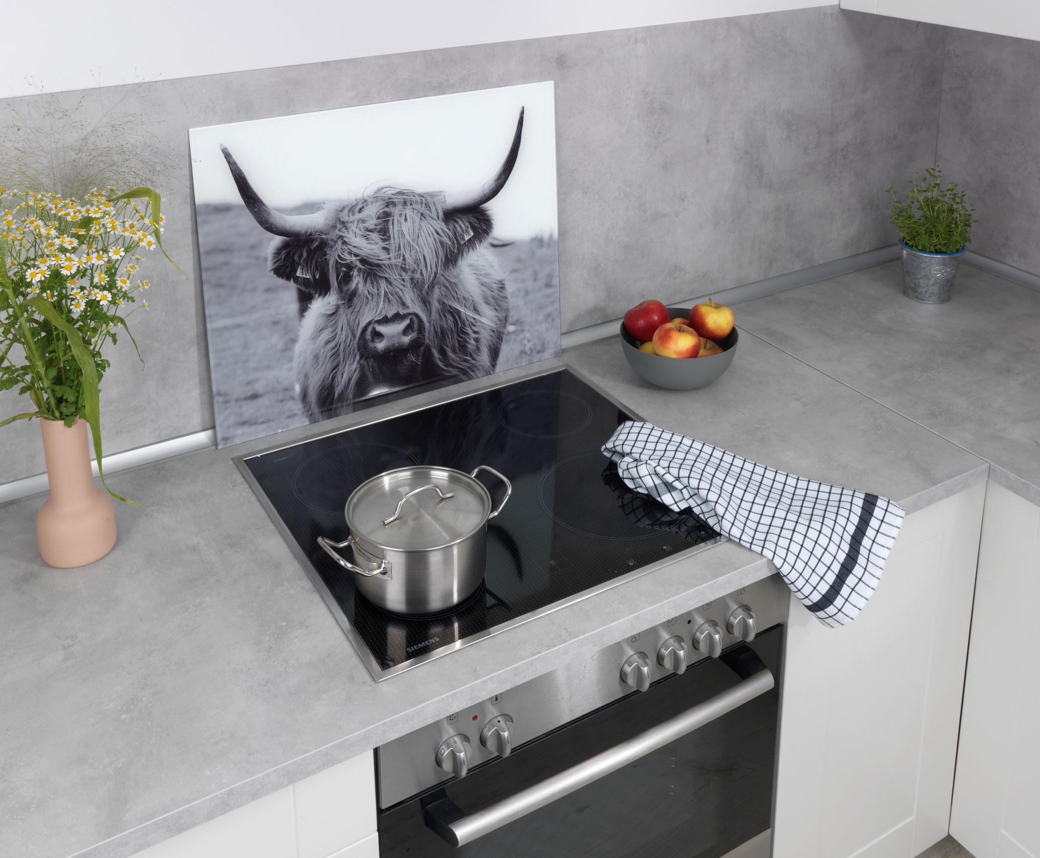 WENKO Küchenrückwand »Highland Cattle«, gehärtetes Glas, 60x50 cm kaufen | Kunstdrucke