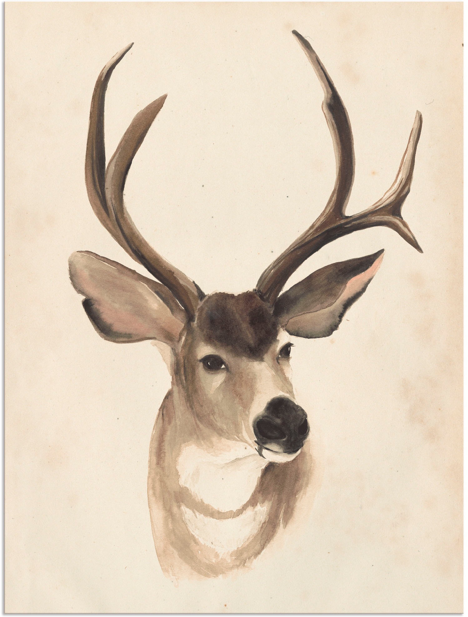 Image of Artland Wandbild »Wasserfarben Tierlehre II«, Wildtiere, (1 St.), in vielen Grössen & Produktarten - Alubild / Outdoorbild für den Aussenbereich, Leinwandbild, Poster, Wandaufkleber / Wandtattoo auch für Badezimmer geeignet bei Ackermann Versand Schweiz