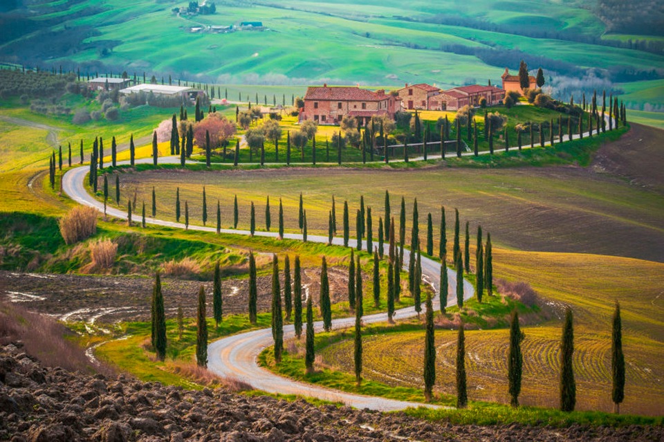 Image of Papermoon Fototapete »Fields in Tuscany« bei Ackermann Versand Schweiz